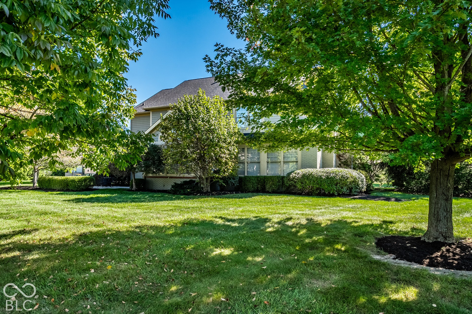 Private Backyard Perspective