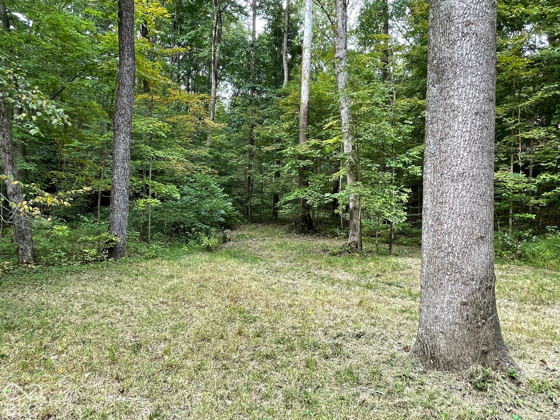 7620 N Hall Road, Monrovia, IN 46157