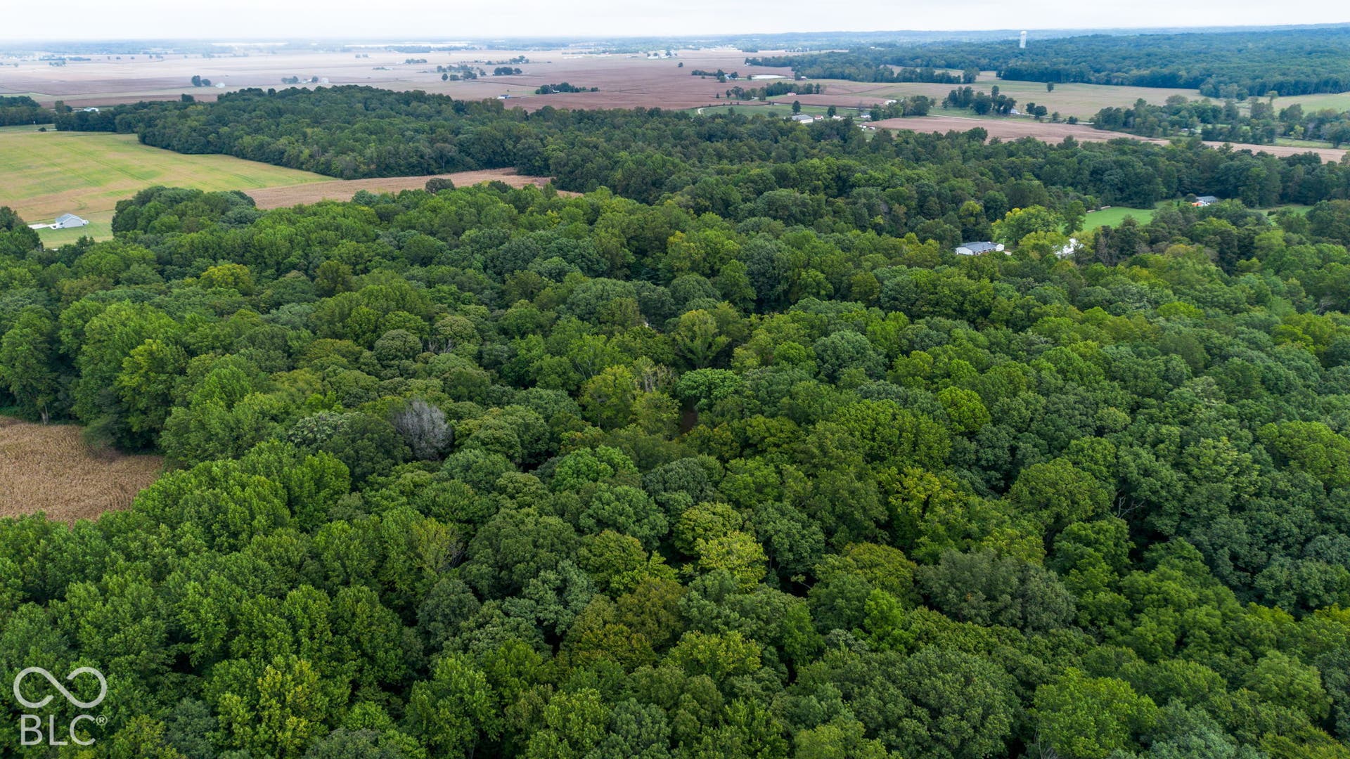 7620 N Hall Road, Monrovia, IN 46157