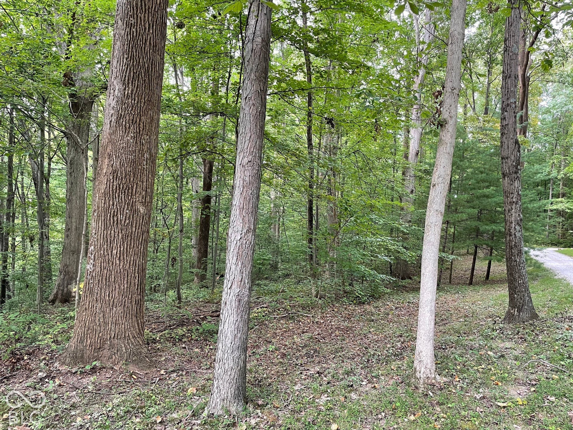 7620 N Hall Road, Monrovia, IN 46157