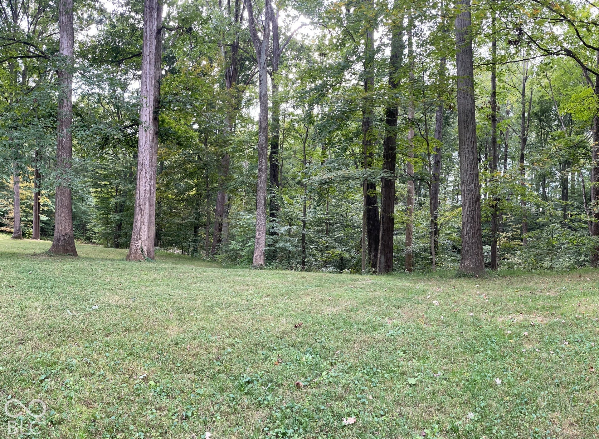 7620 N Hall Road, Monrovia, IN 46157