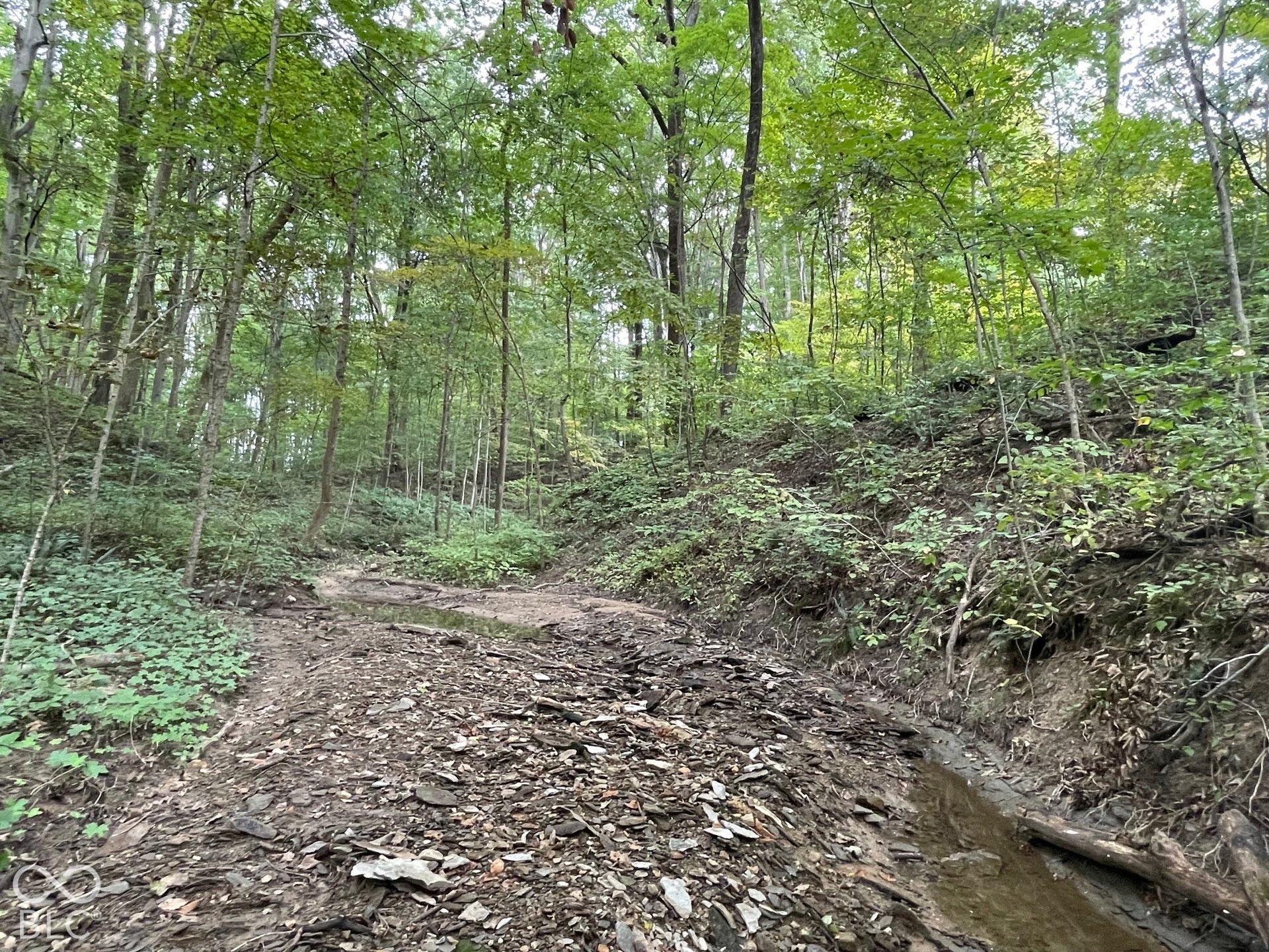 7620 N Hall Road, Monrovia, IN 46157