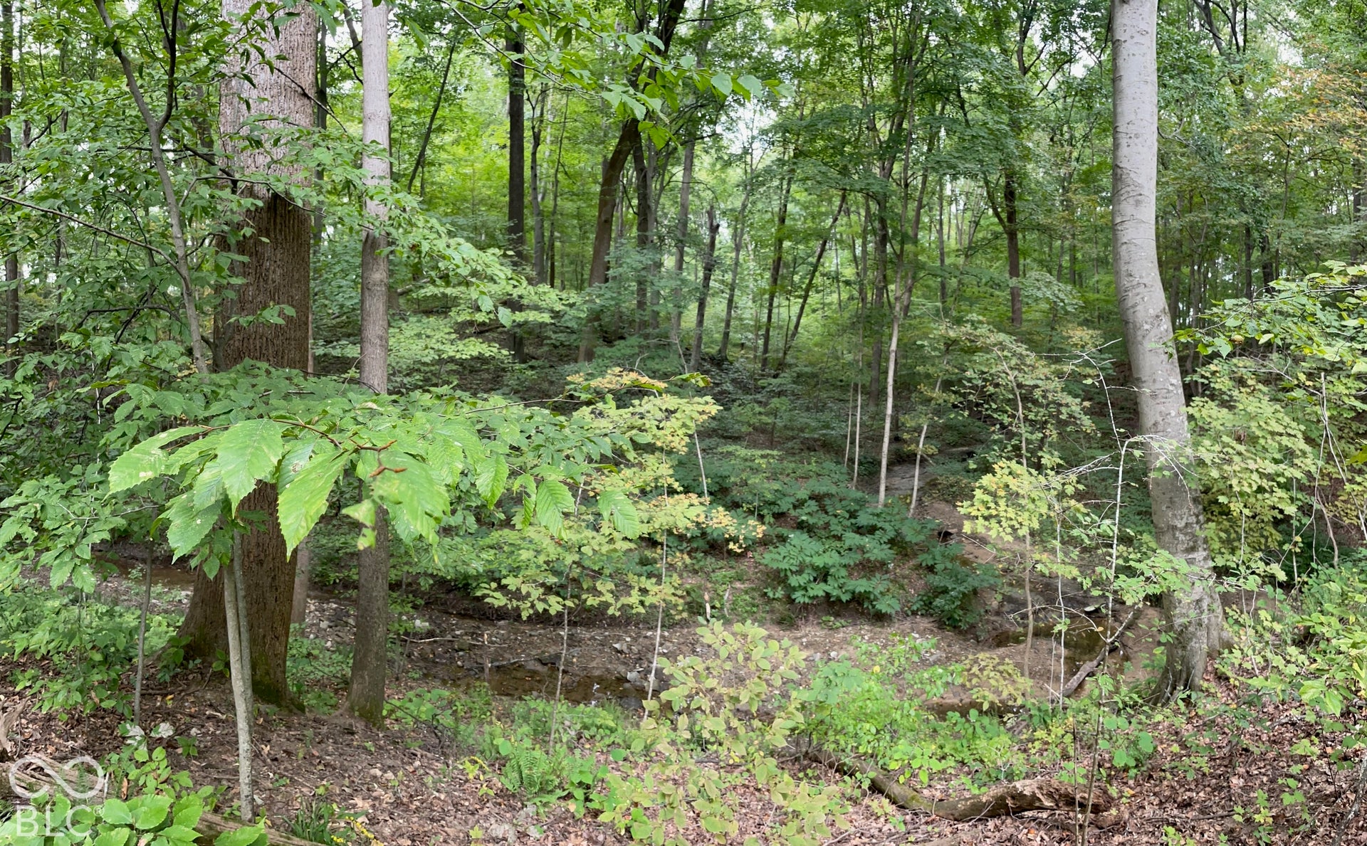 7620 N Hall Road, Monrovia, IN 46157