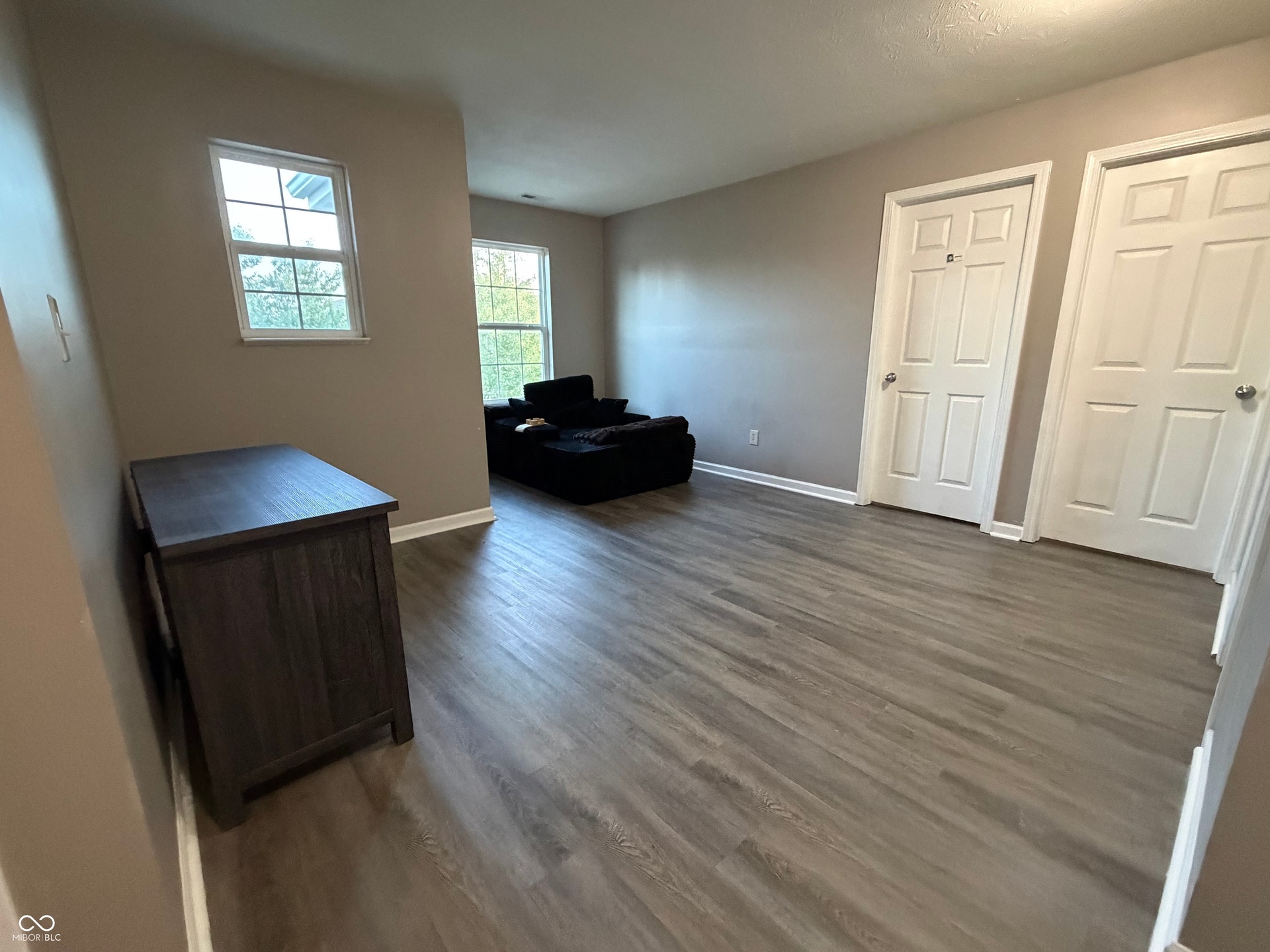 Light gray wood-finish flooring, neutral wall paint, white trim, and two paneled interior doors