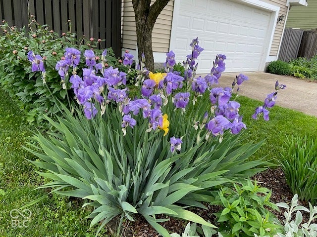 2411 N Talbott Street, Indianapolis, IN 46205