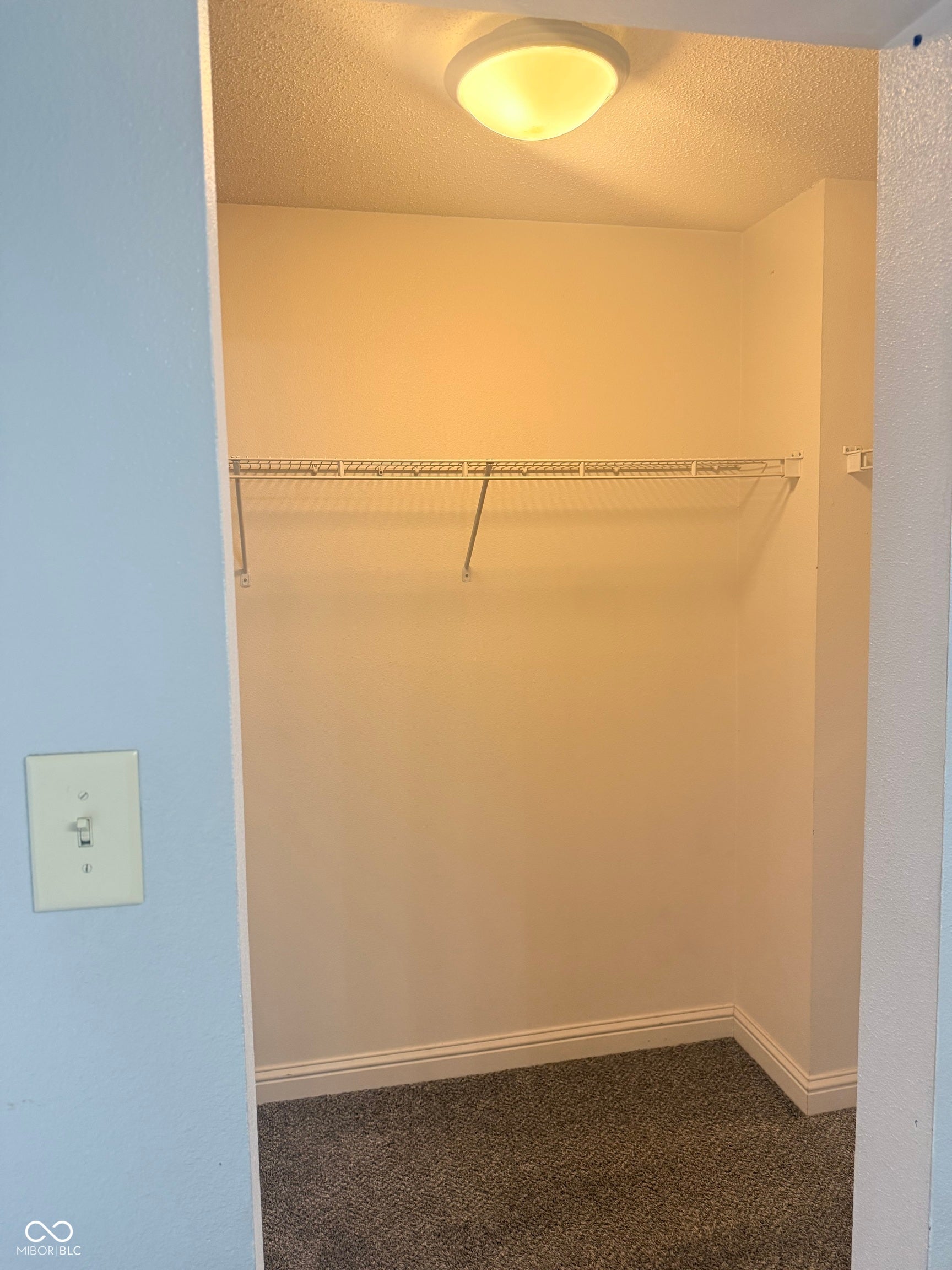 6235 E Mariah Hill Lane, Camby, IN 46113 Recessed closet featuring a wire shelving unit, overhead dome light, and carpeted flooring
