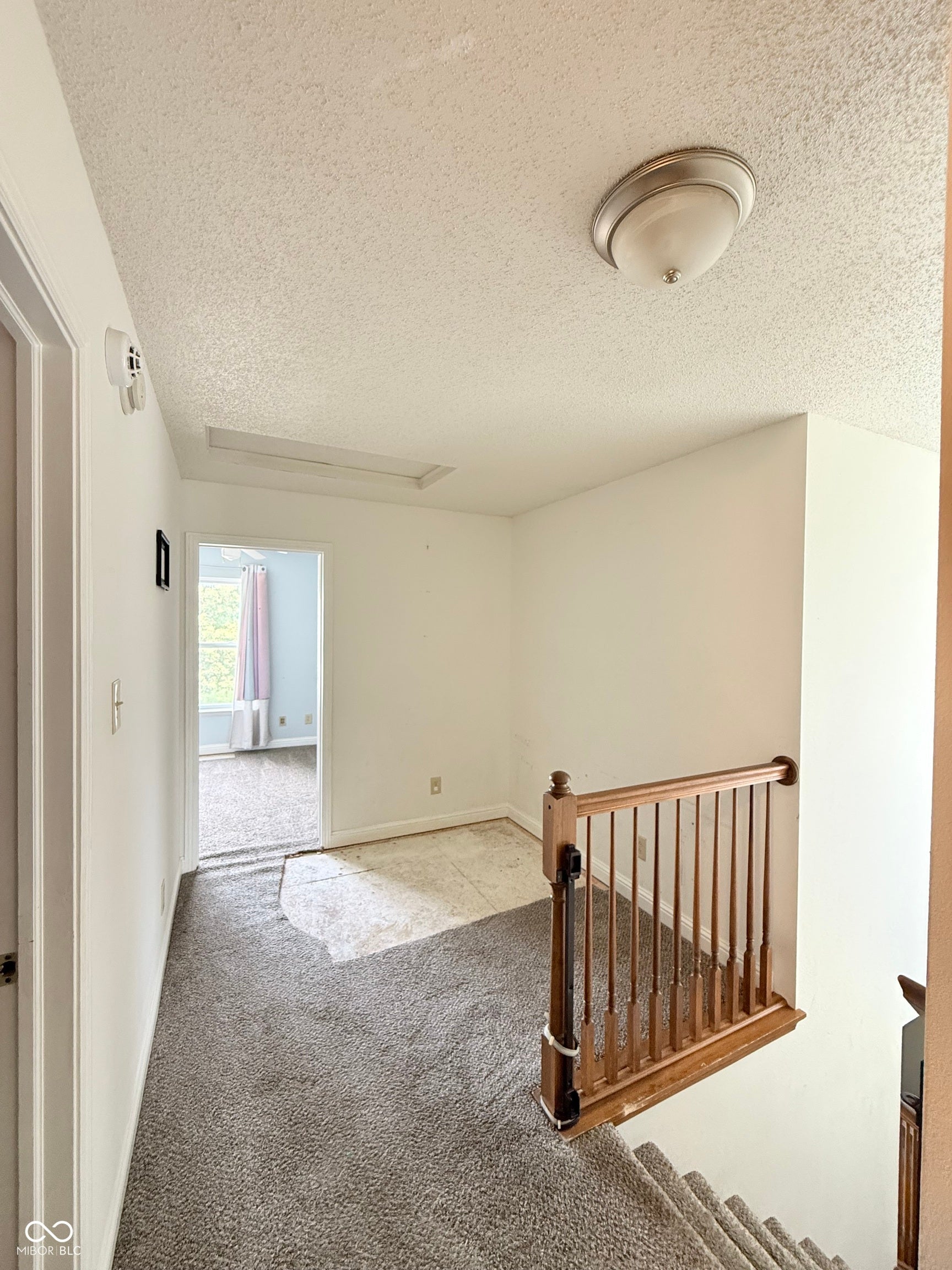 6235 E Mariah Hill Lane, Camby, IN 46113 Bright upper-level hallway with neutral wall finishes, carpeted flooring, and ceiling-mounted fixture