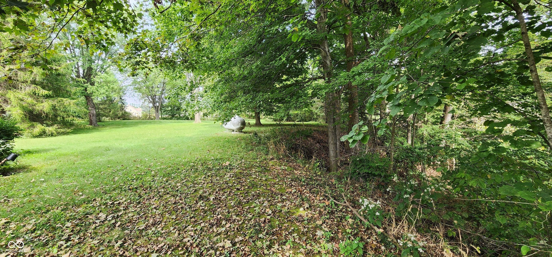 Expansive green lawn surrounded by mature trees