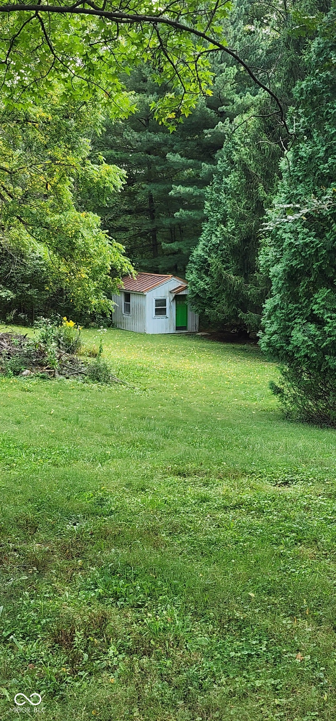 Lush green lawn with a detached auxiliary structure featuring a pitched roof and a bright green door, surrounded by mature trees