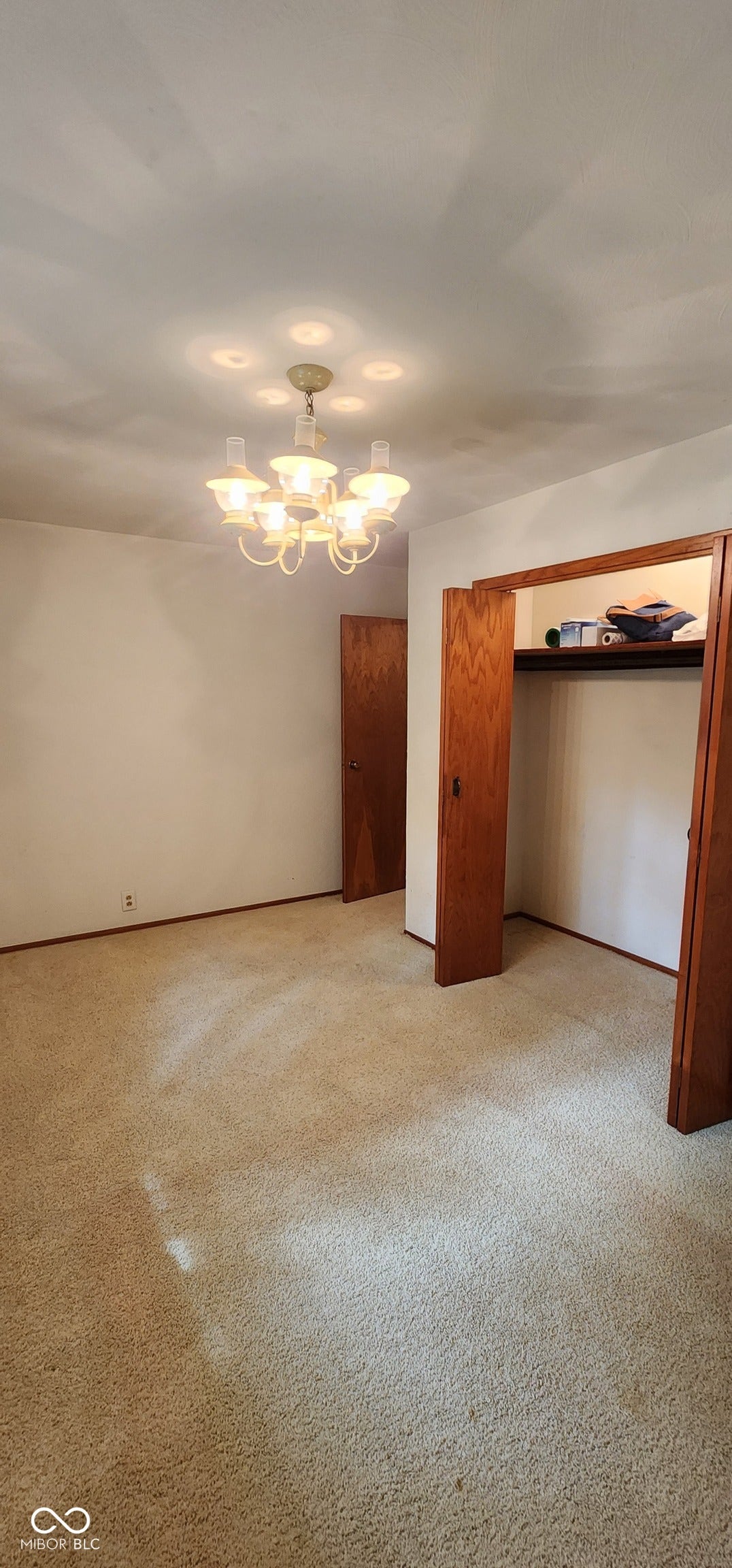 Wall-to-wall carpeting, wood-finish doors, a built-in closet with shelving, and a multi-bulb ceiling fixture