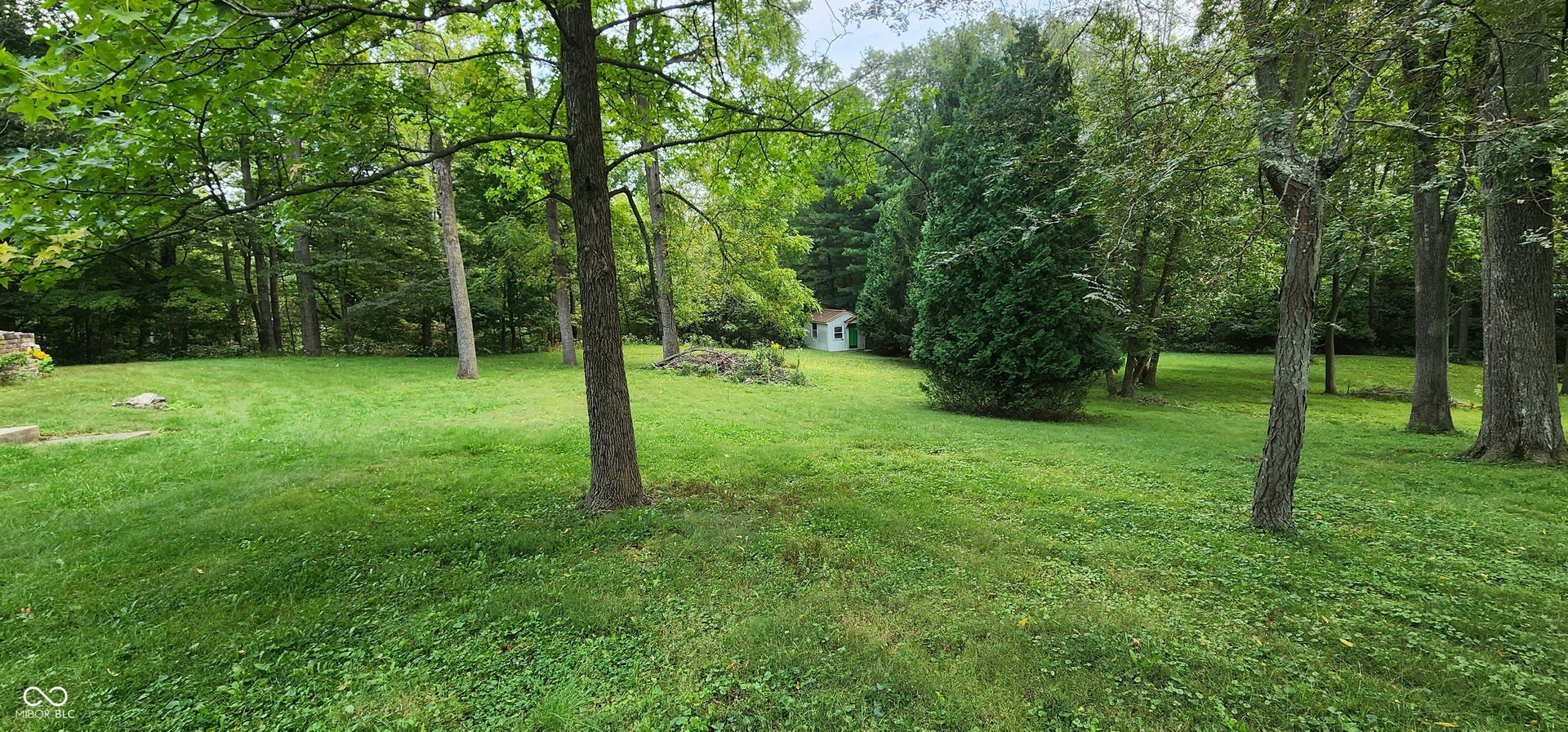 Expansive green lawn with mature trees and a detached shed