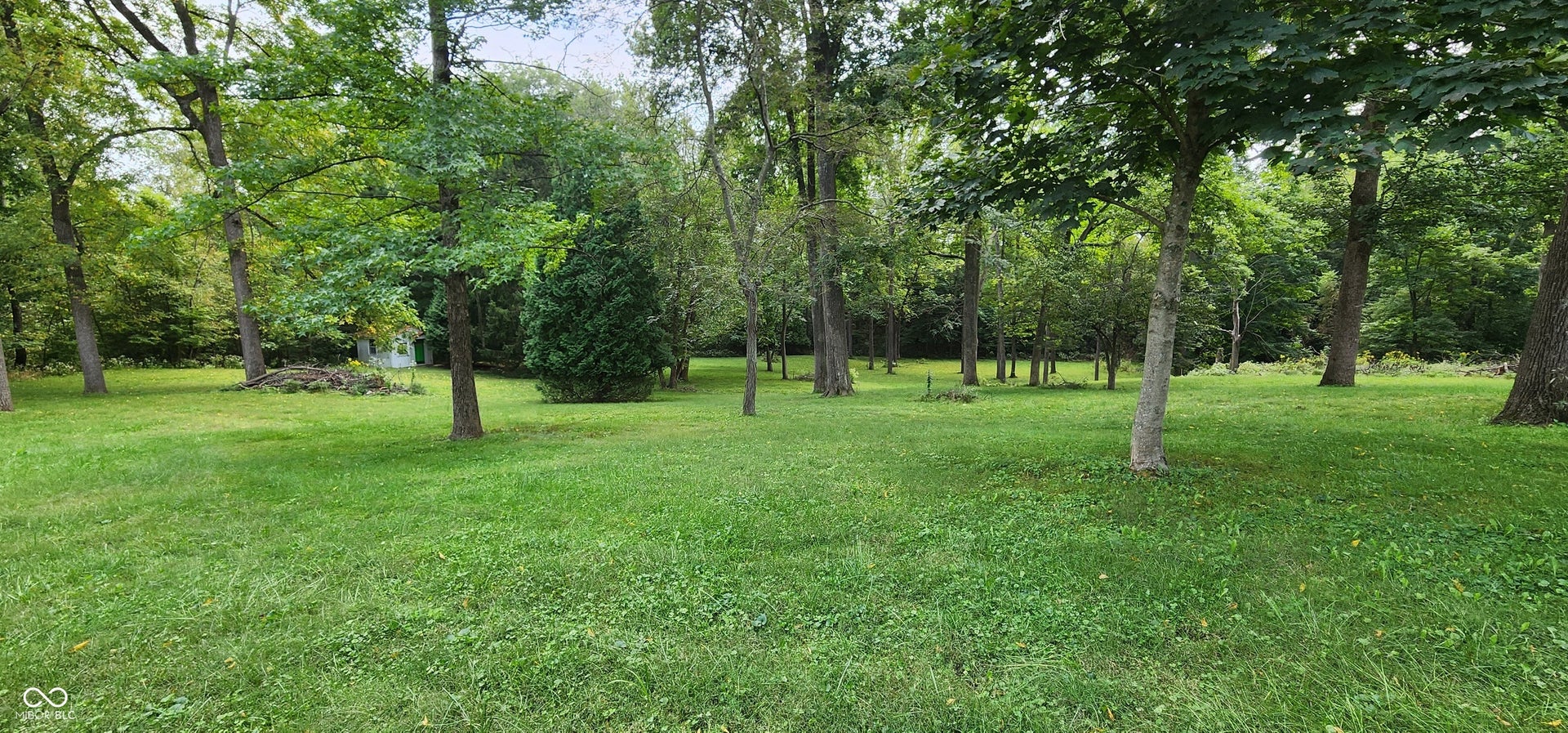 Expansive green lawn with mature trees and dense perimeter foliage
