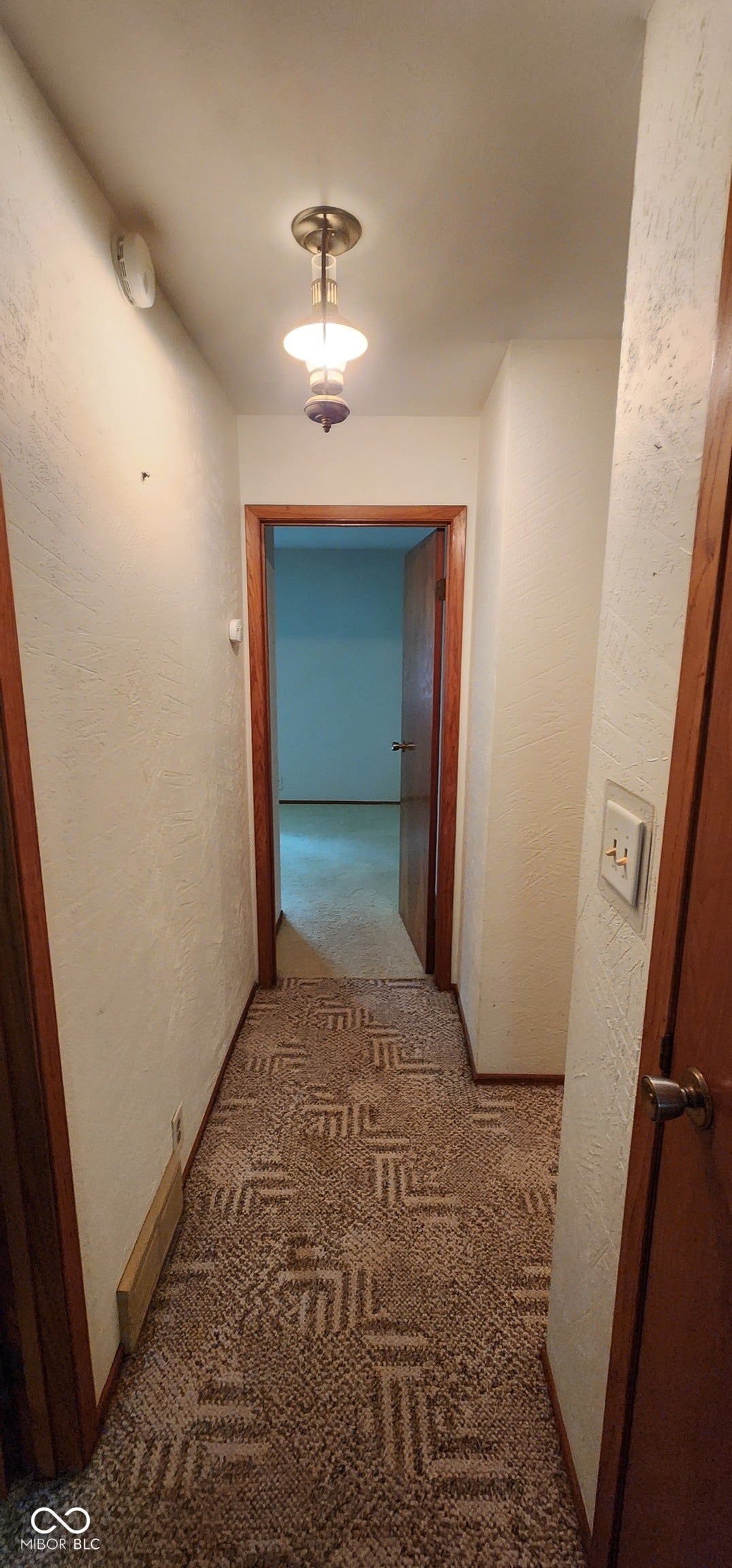 Hallway with patterned carpet flooring, wood-finish door frames, and a ceiling-mounted light fixture