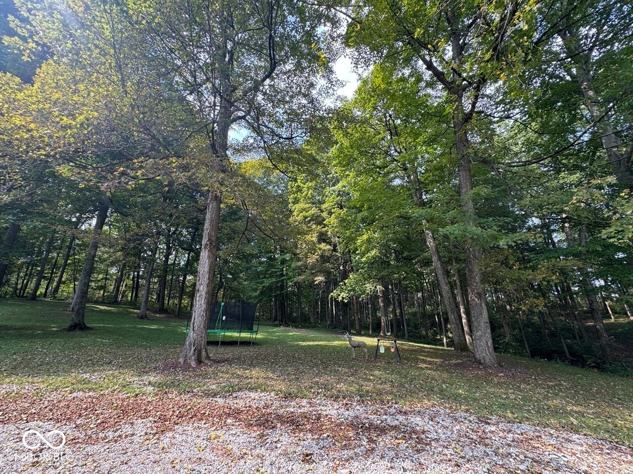 Wooded grounds featuring mature trees and a sloped, grassy terrain