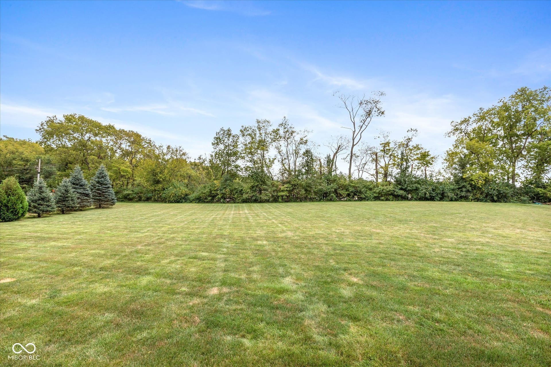 1513 Tottenham, Danville, IN 46122 Expansive green lawn with a tree line border