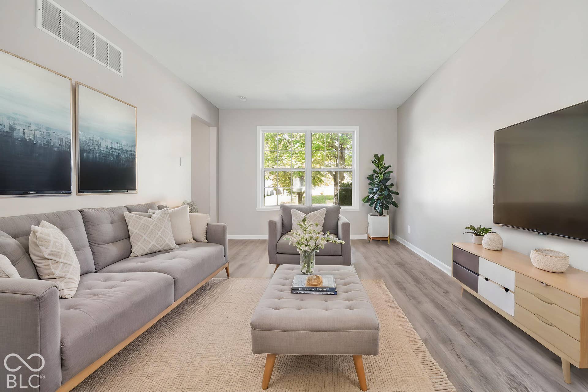Virtually Altered - Virtually Staged Living Room