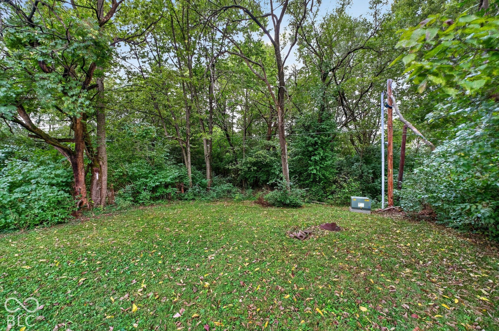 Expansive grassy area surrounded by mature trees and natural landscaping
