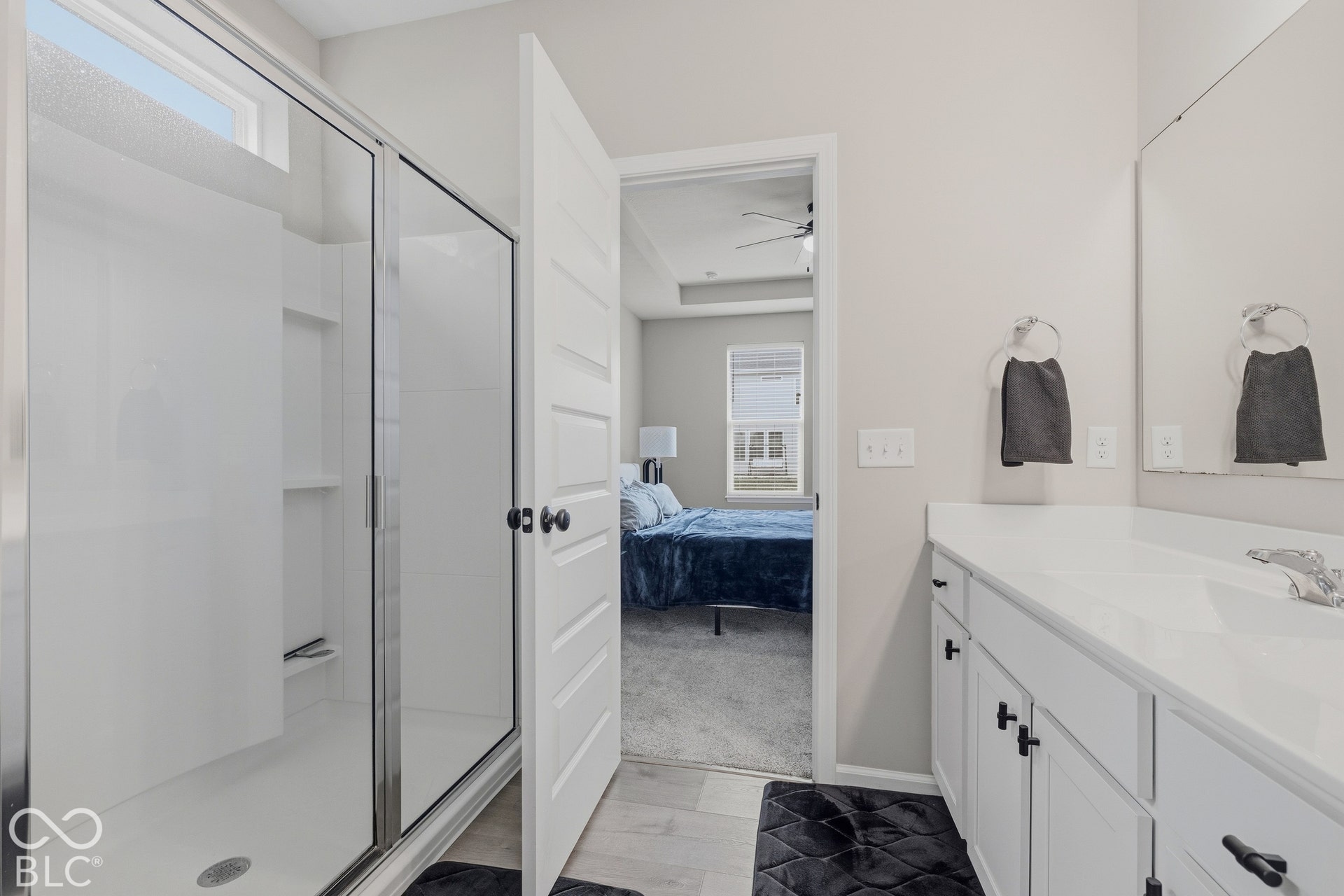 Glass-enclosed shower & vanity