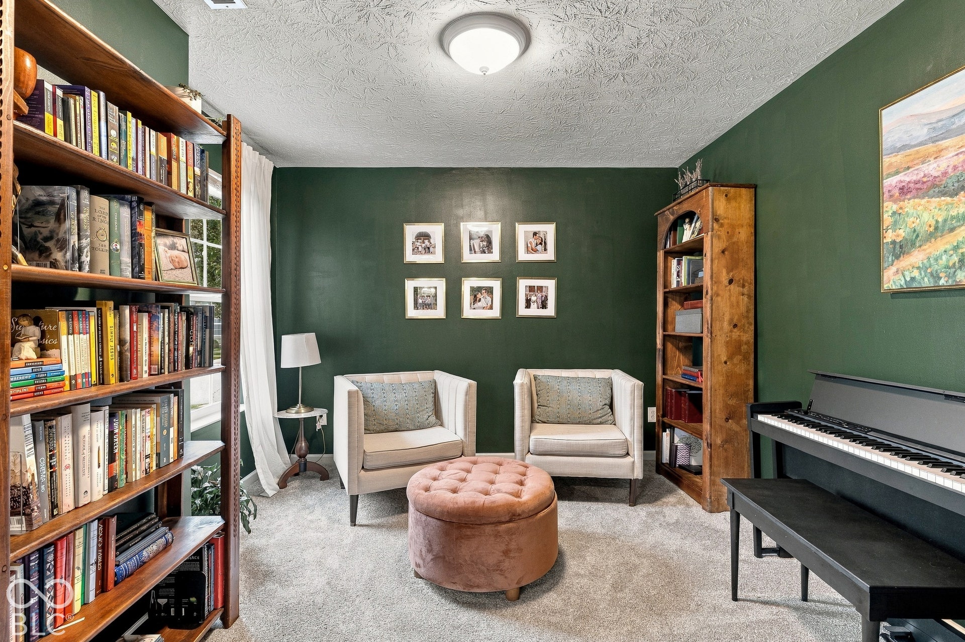 Gorgeous music/media/playroom or office