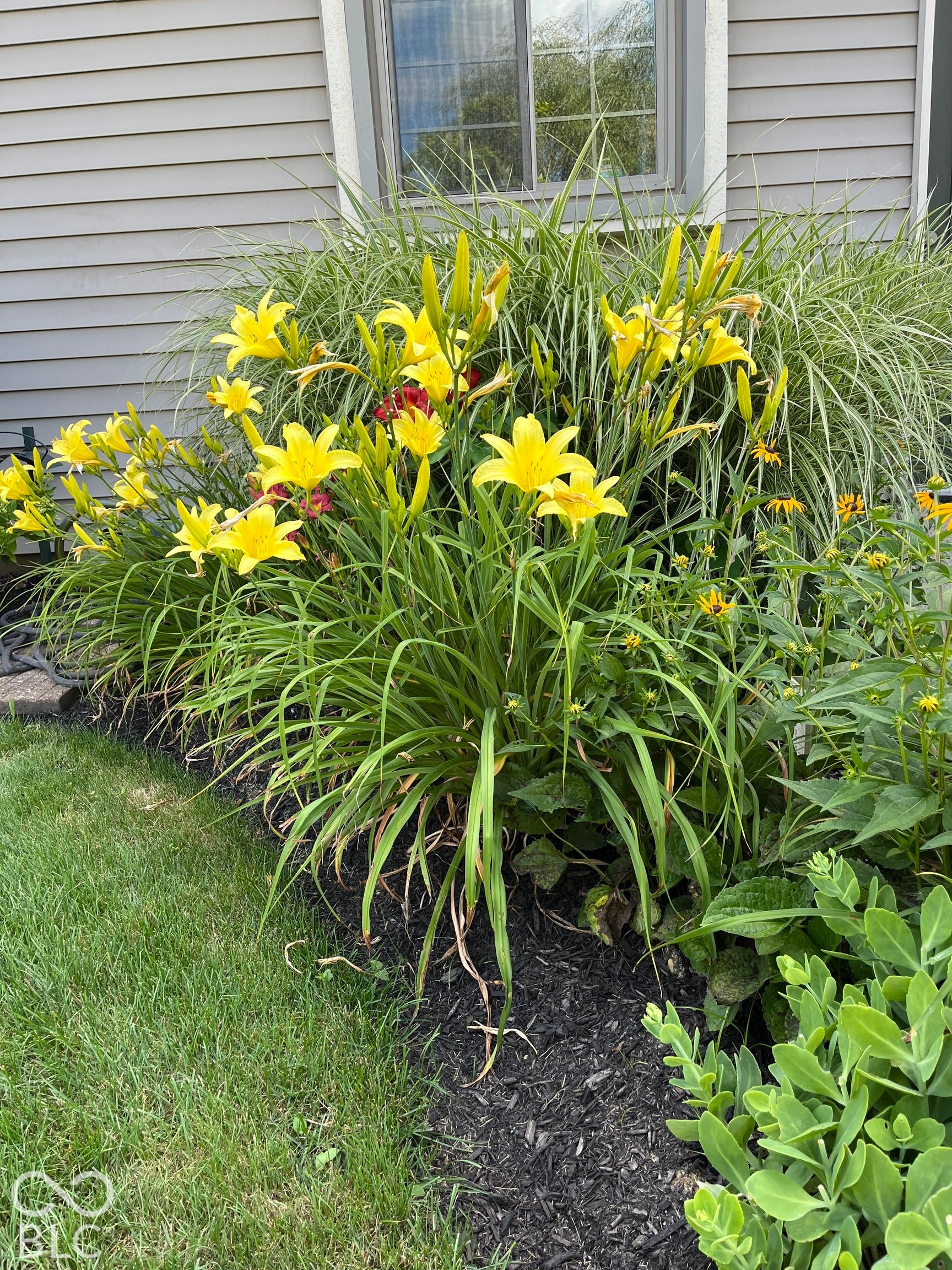11015 Rutgers Lane, Fishers, IN 46038