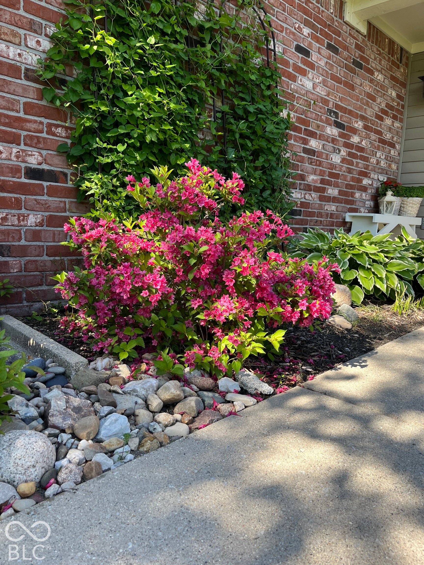 11015 Rutgers Lane, Fishers, IN 46038