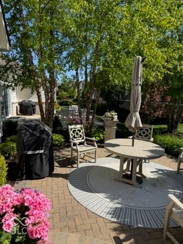 Brick paver patio with a decorative area rug and mature trees