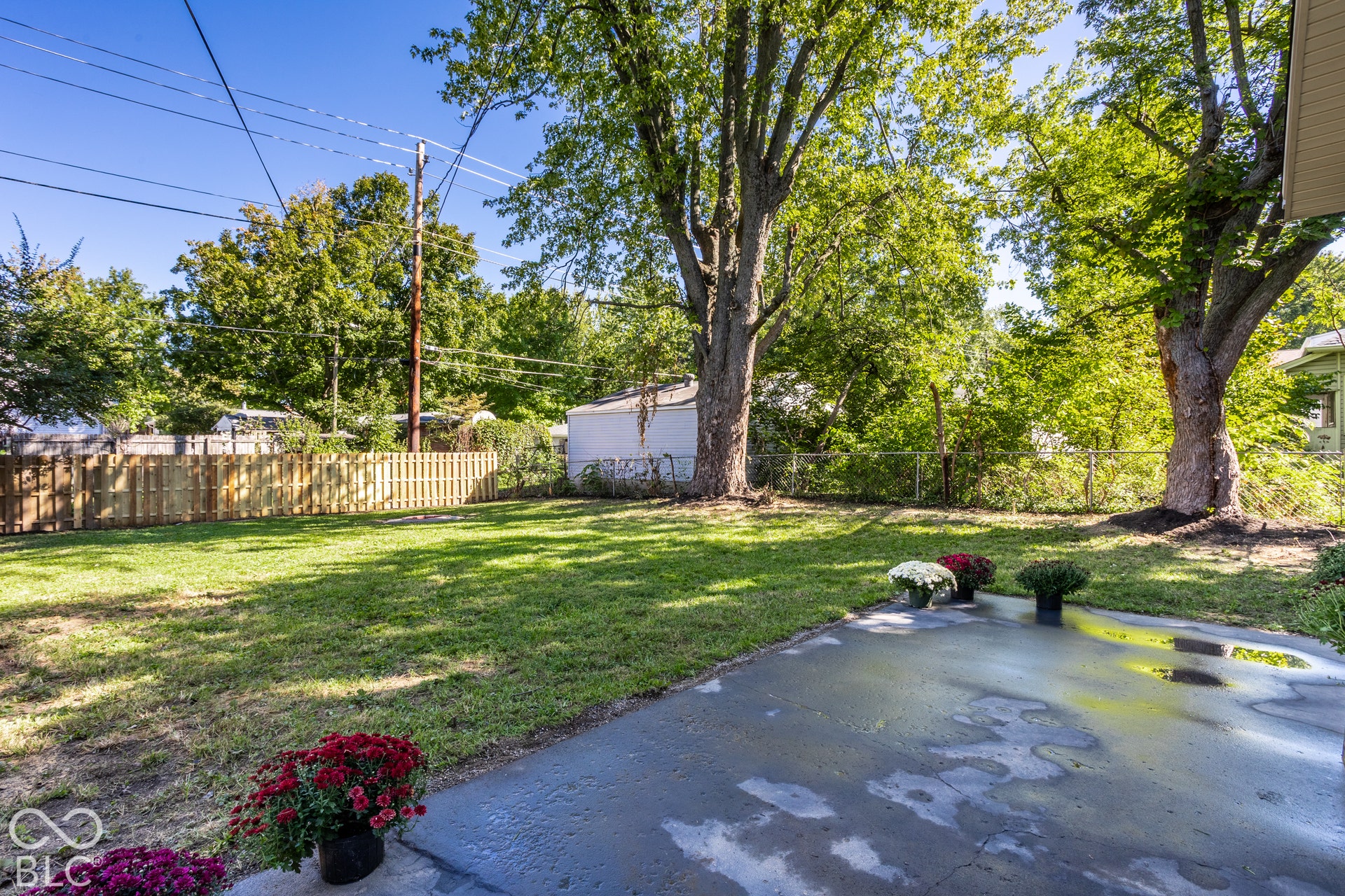 Expansive backyard featuring a concrete patio, a manicured lawn, a wood privacy fence, and mature trees