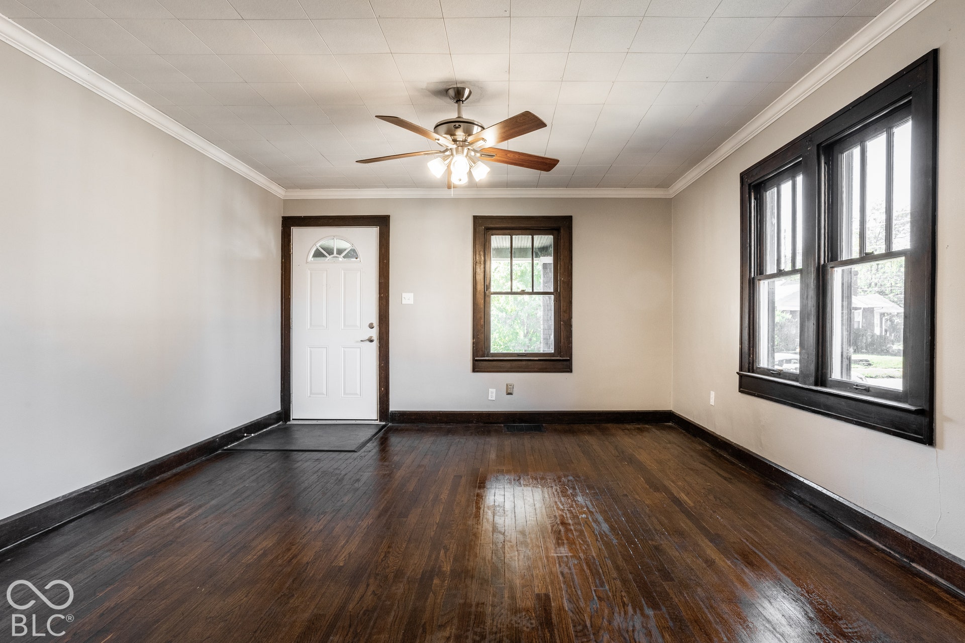 Hardwood flooring, painted interior walls, white crown molding, ceiling fan, and dark-trimmed windows