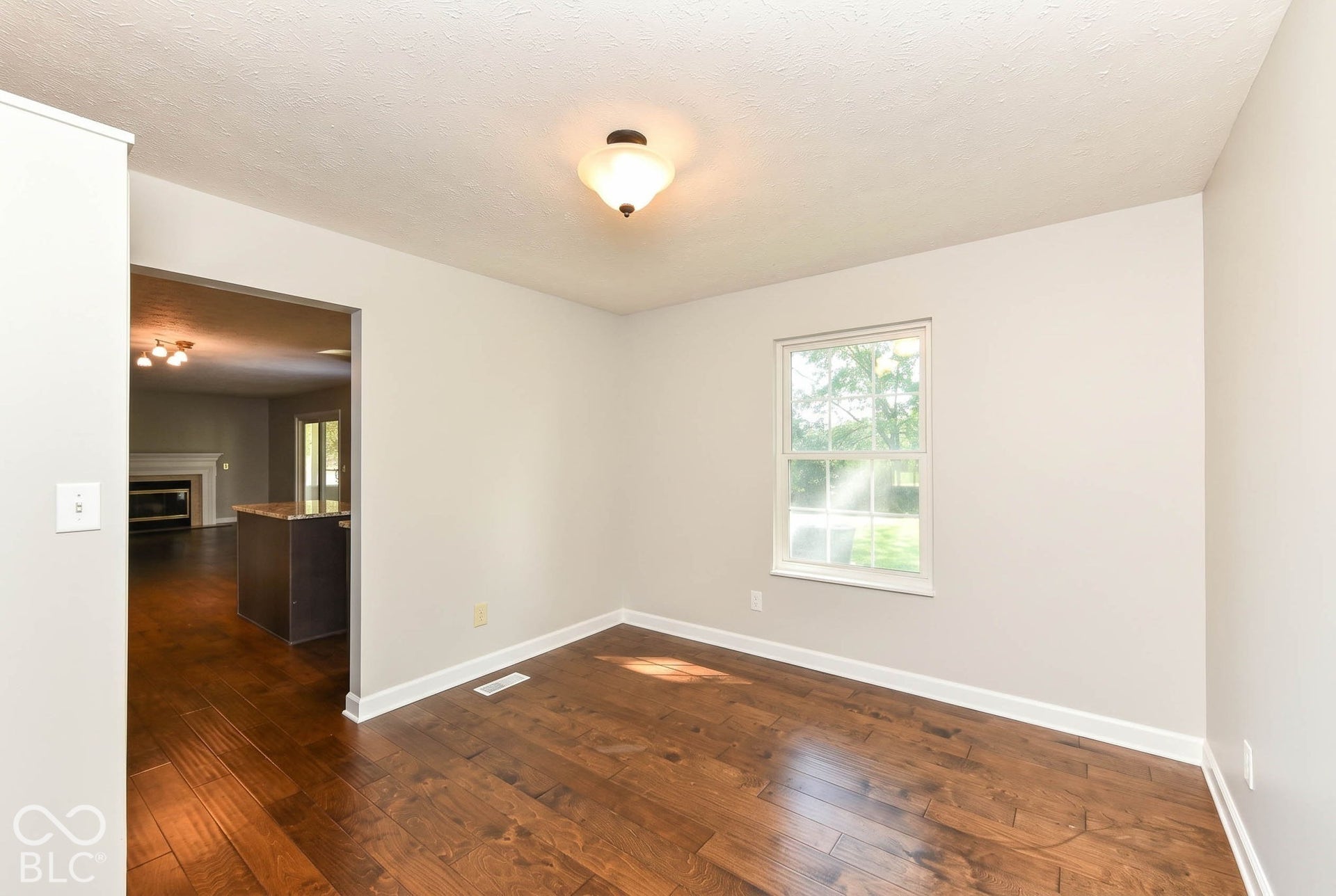 8935 Tanner Drive, Fishers, IN 46038 Dining Area