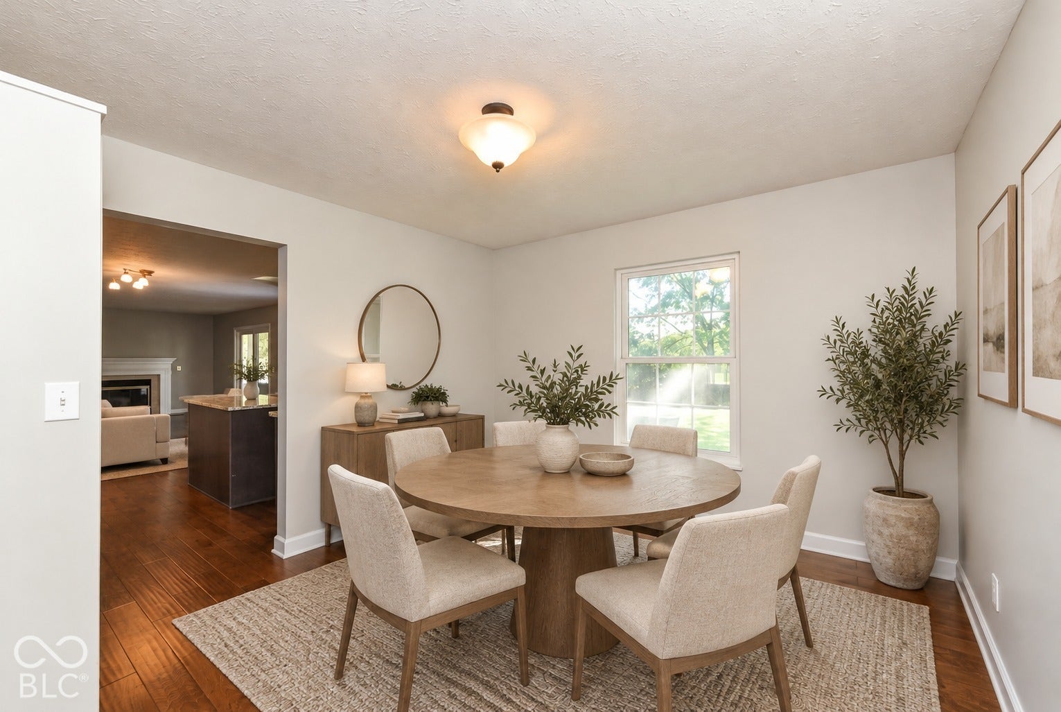 8935 Tanner Drive, Fishers, IN 46038 Virtually Altered -