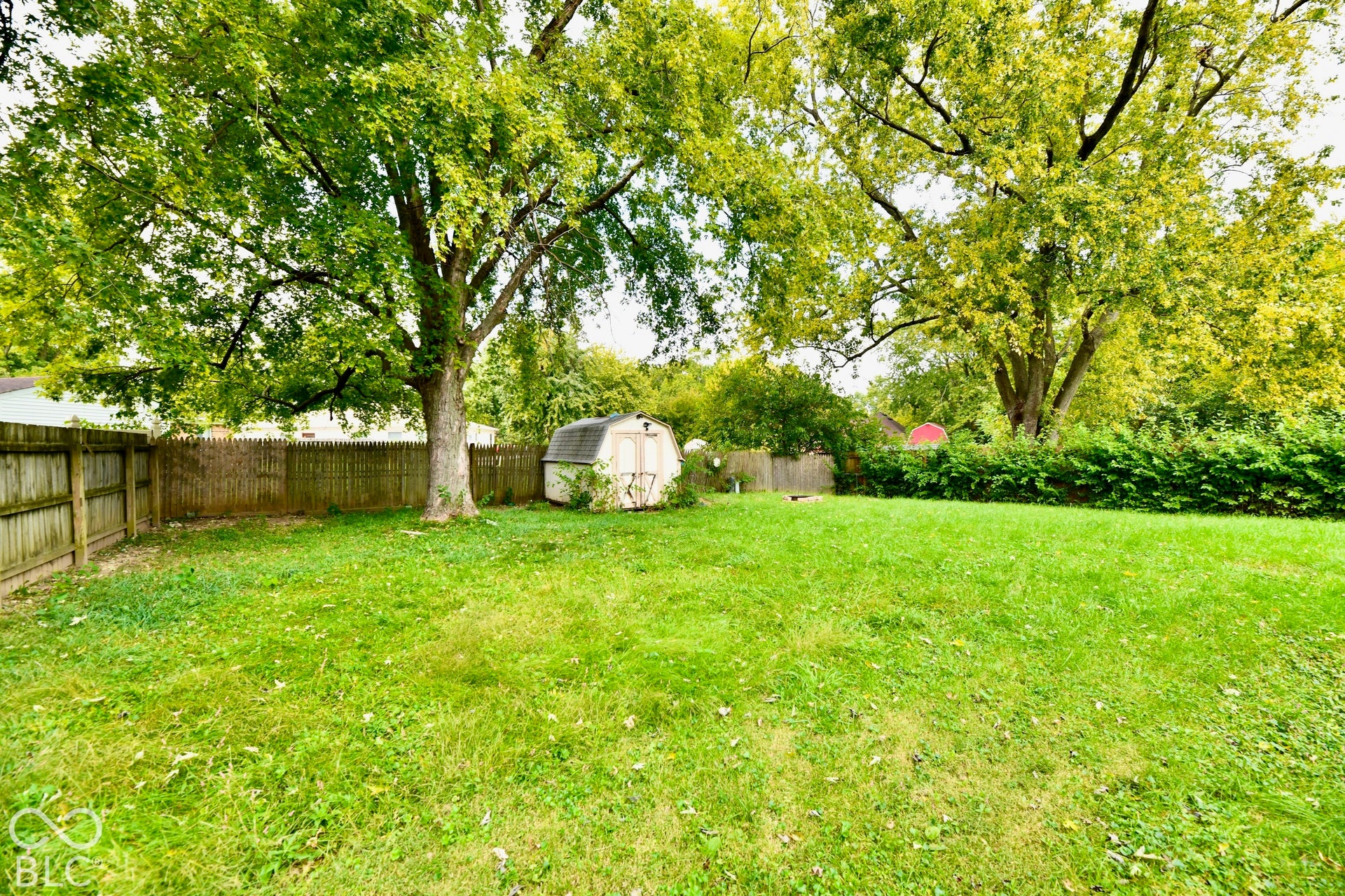 Expansive backyard featuring a mature tree, wood privacy fencing, and a storage shed