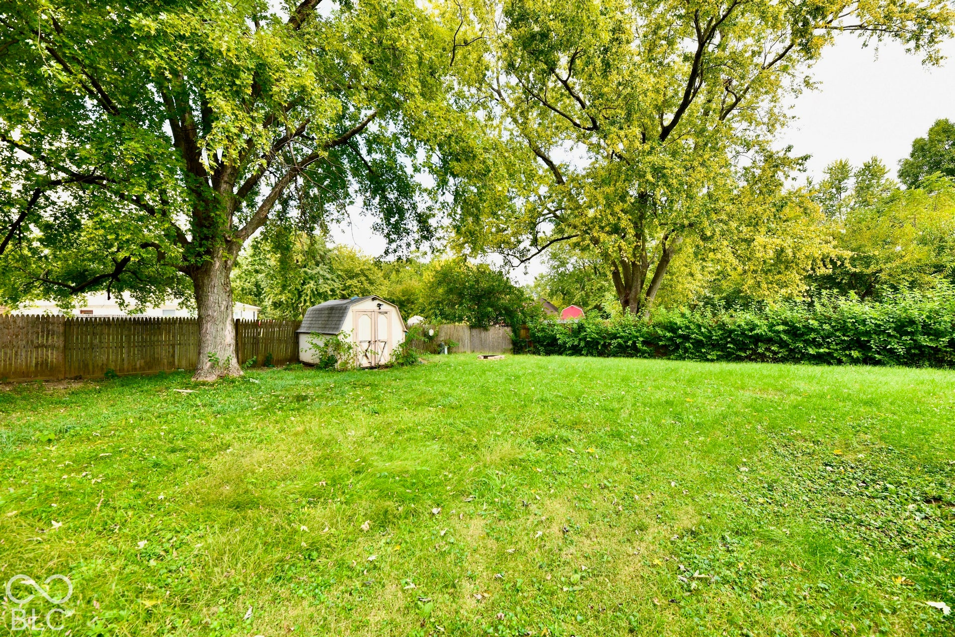 Expansive backyard featuring a manicured lawn, mature trees, wood fence, and storage shed