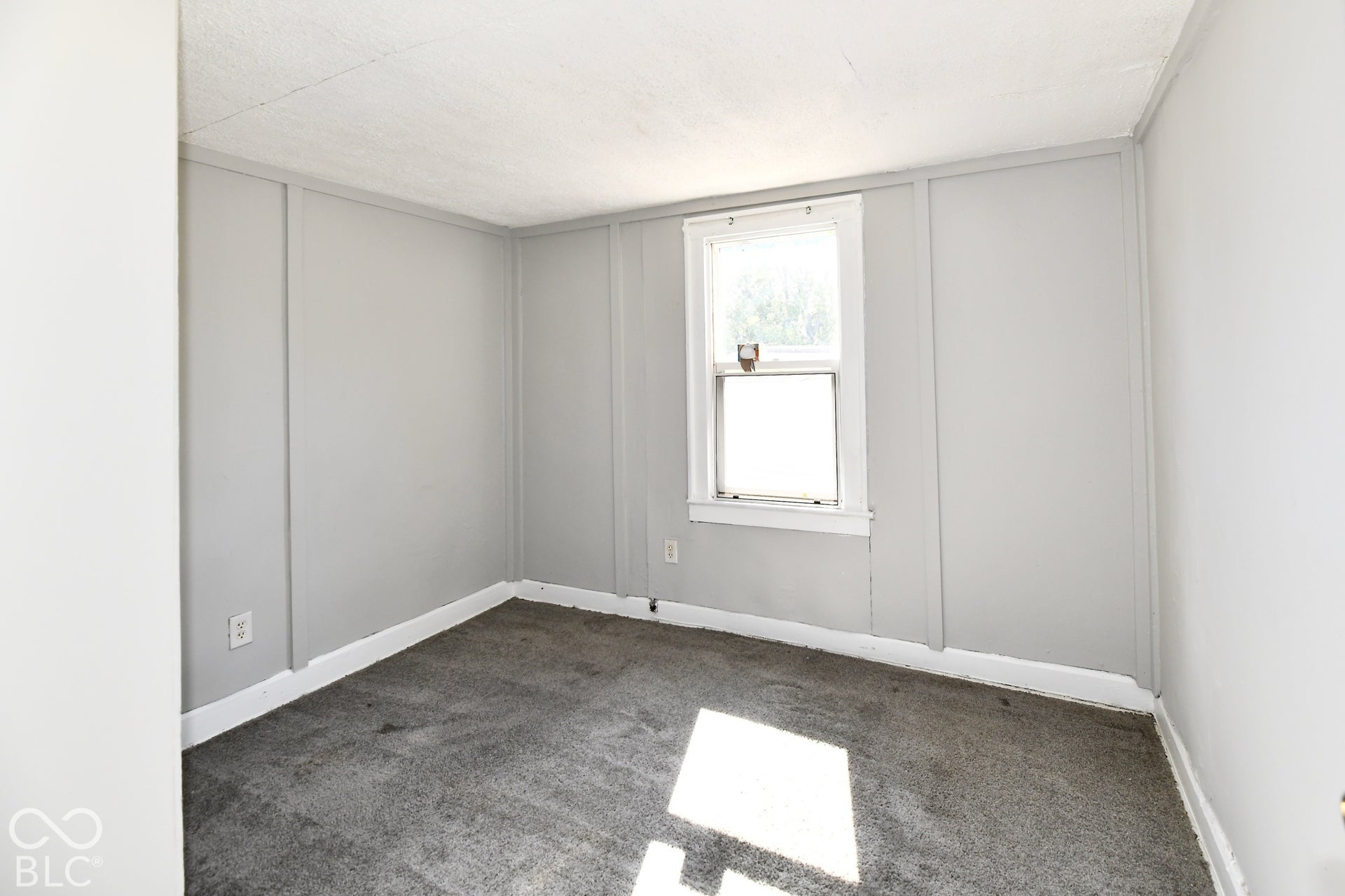 Carpeted room with a single window, white trim, and light gray paneled walls