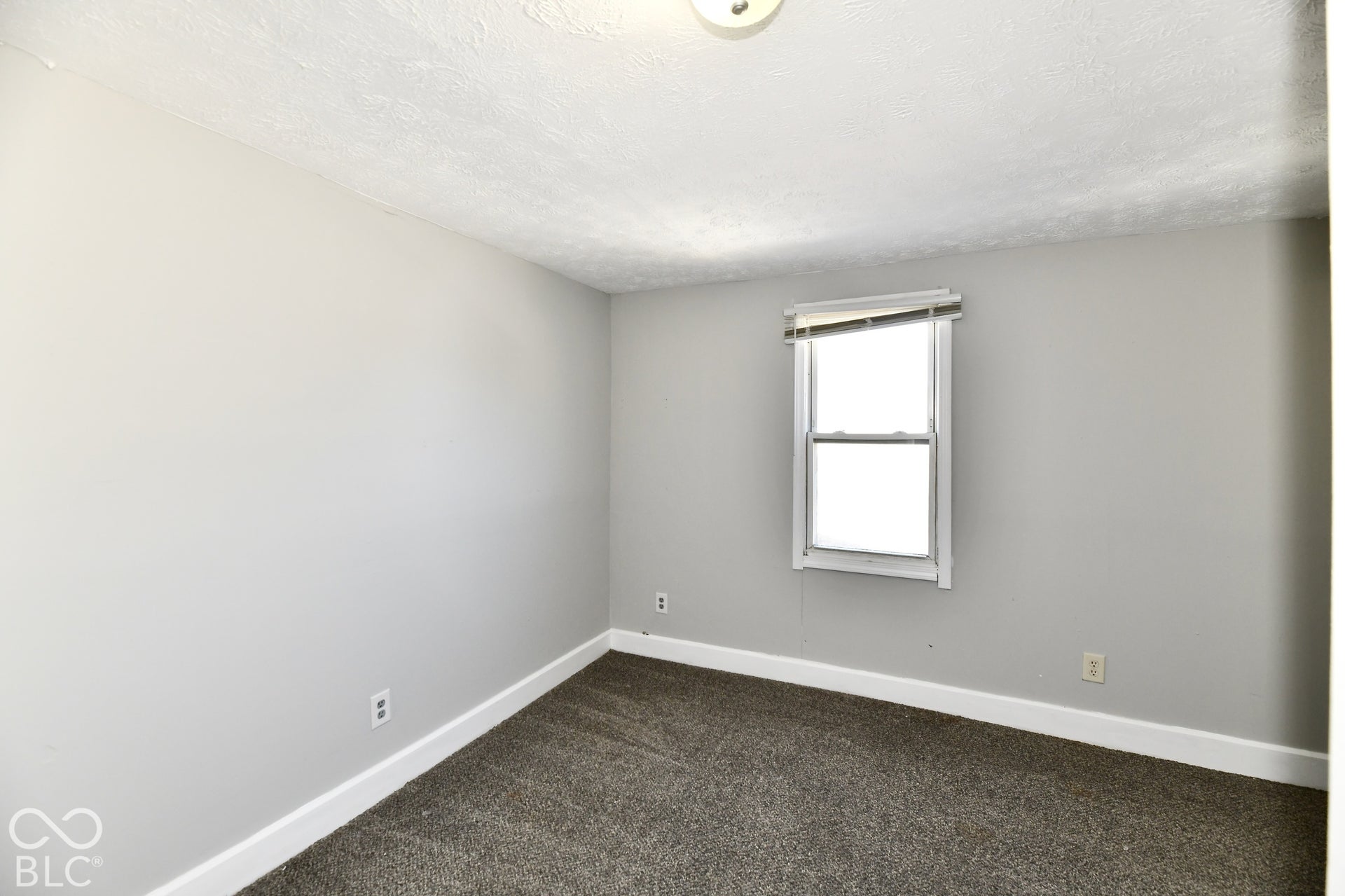 Light gray painted walls with carpet flooring, featuring a double-hung window and a flush-mount ceiling light fixture