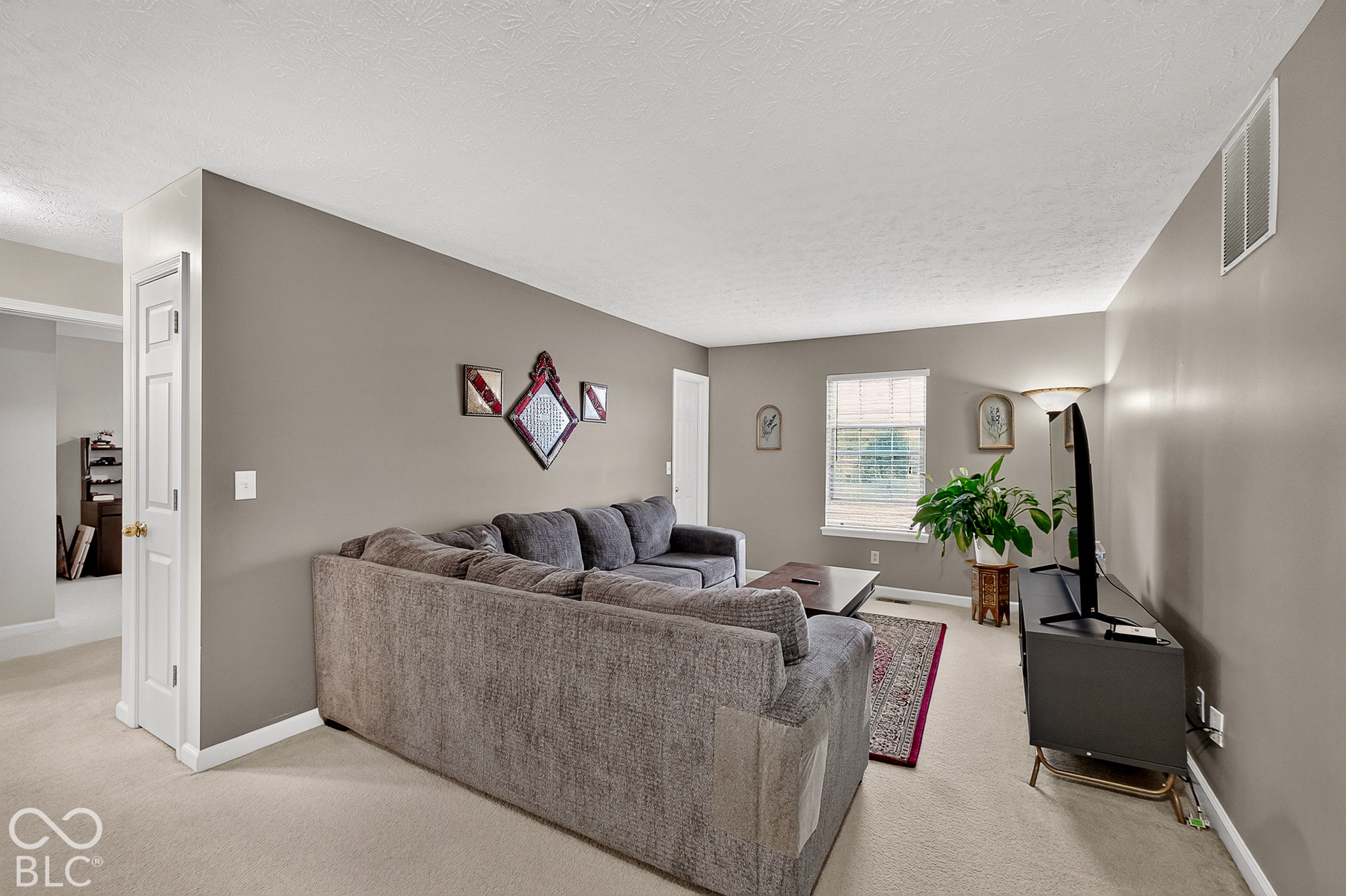 15996 Arbor Grove Boulevard, Noblesville, IN 46060 Loft