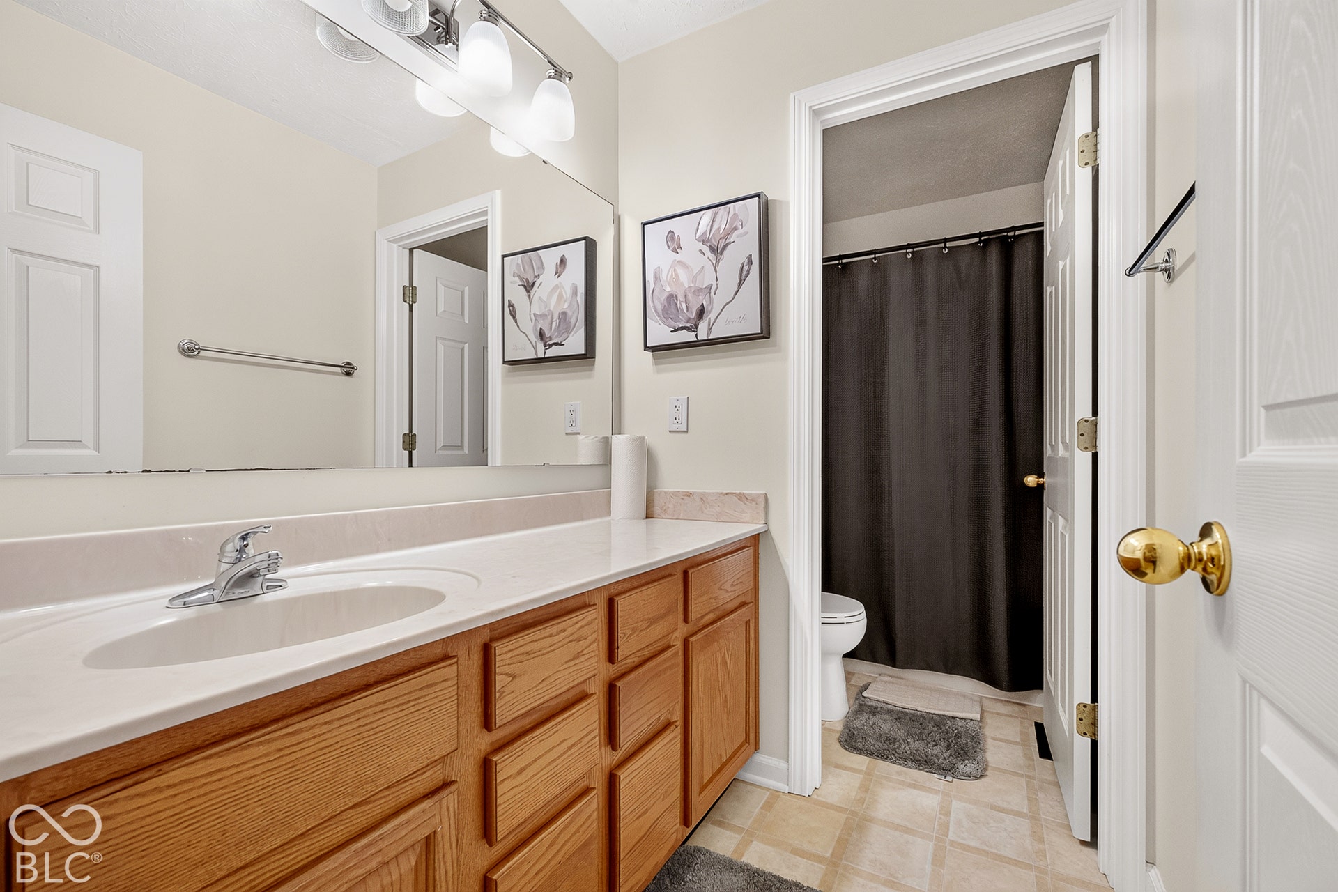 15996 Arbor Grove Boulevard, Noblesville, IN 46060 Bathroom