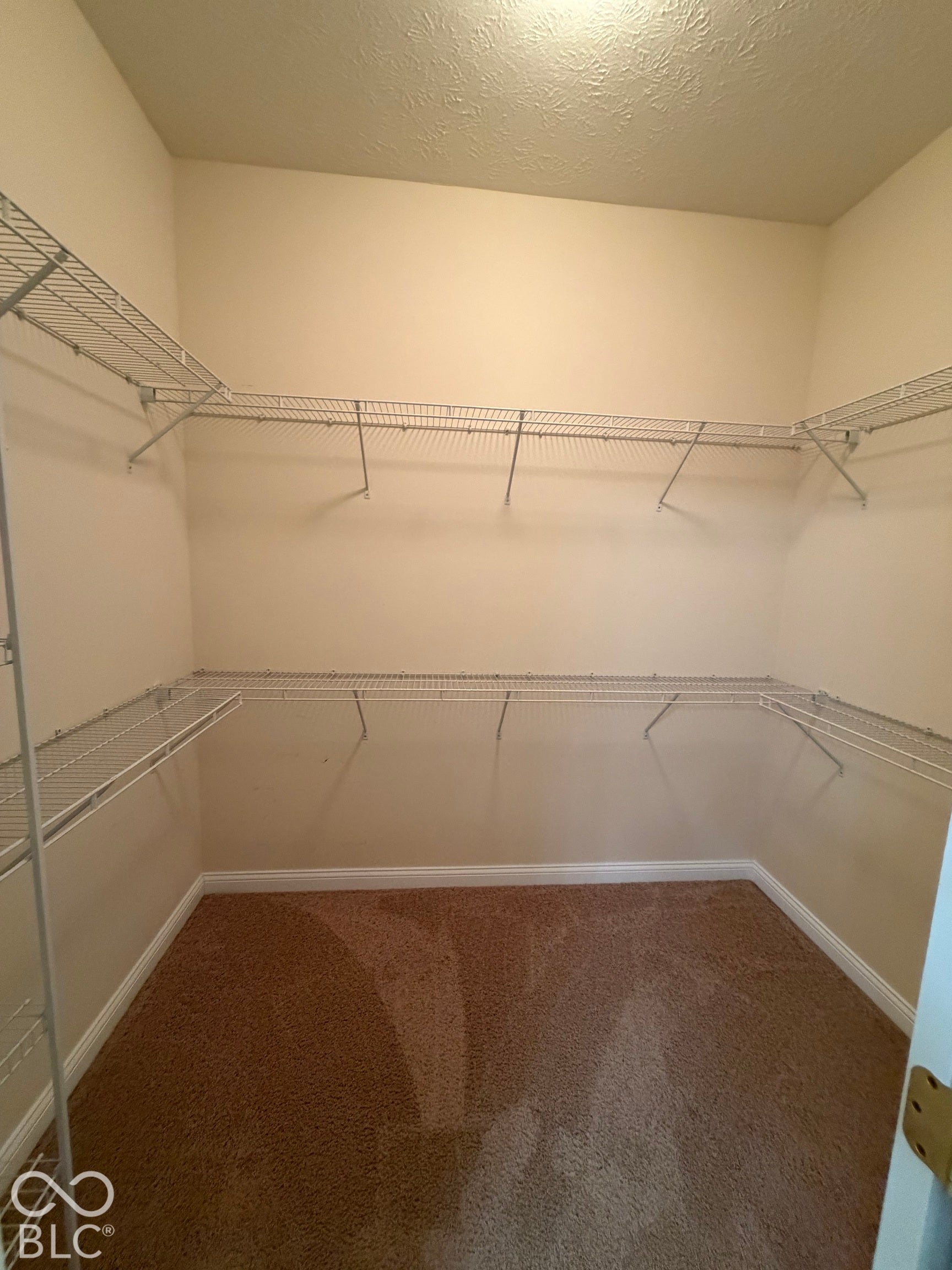 Spacious walk-in closet featuring wire shelving and carpet flooring
