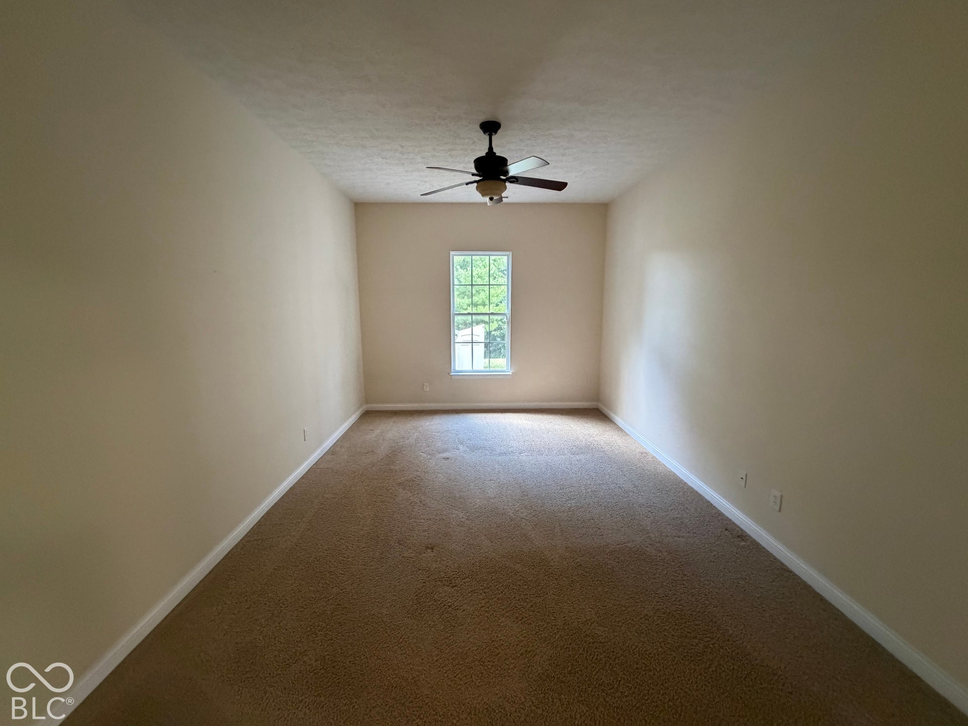 Carpeted room featuring a ceiling fan, a single window, and light-colored walls