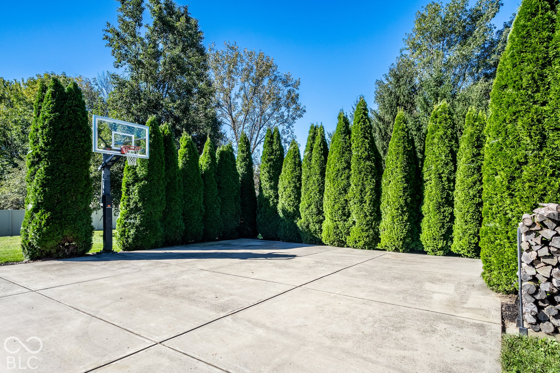 Paved court with a basketball hoop, bordered by a row of mature privacy trees