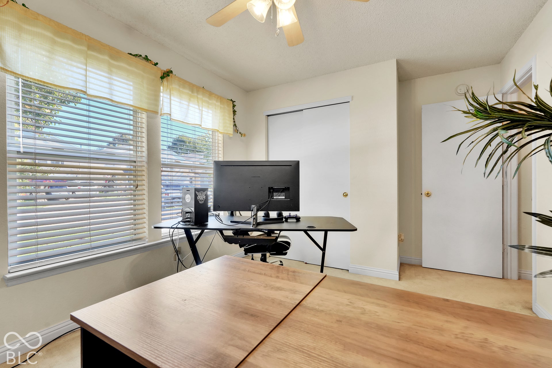 Dual windows with horizontal blinds, overhead ceiling fan, and carpeted flooring