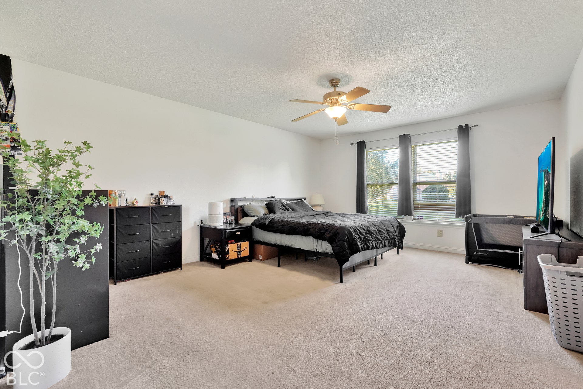 Neutral tone wall finishes, textured ceiling, light-toned carpeting, and a ceiling fan with integrated lighting