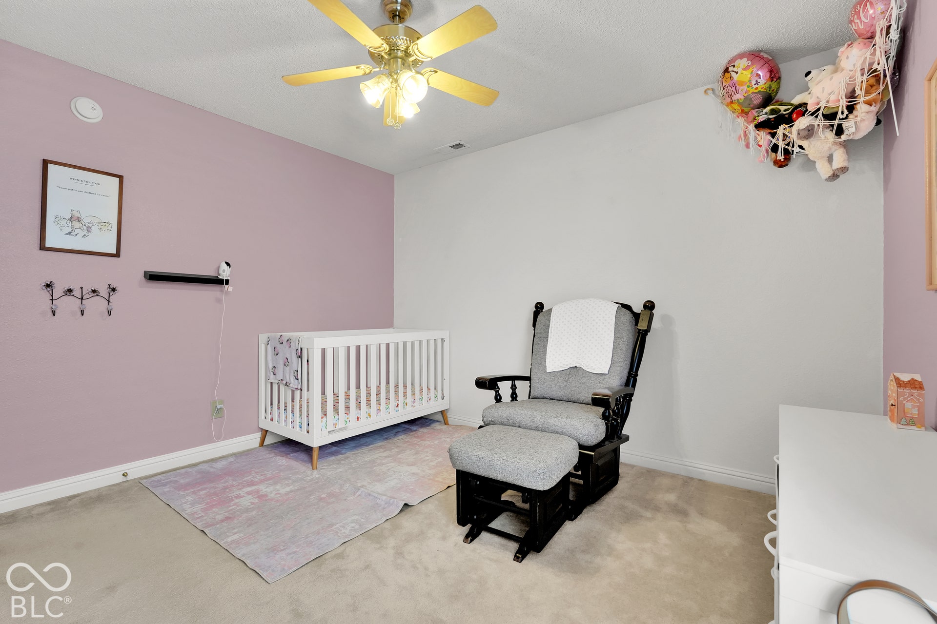 Ceiling fan with light fixture