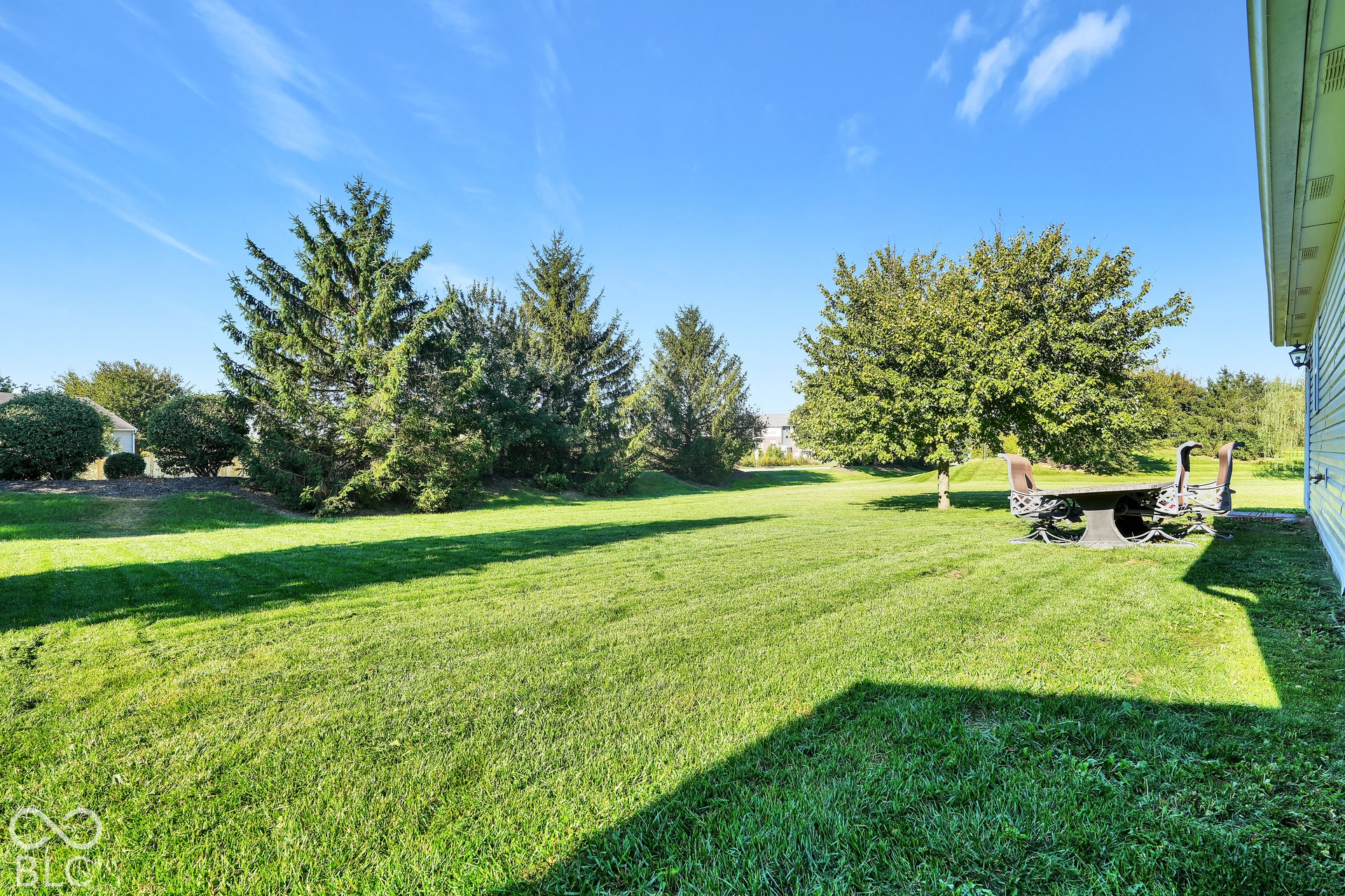 Expansive lawn area featuring mature evergreen trees and additional deciduous trees