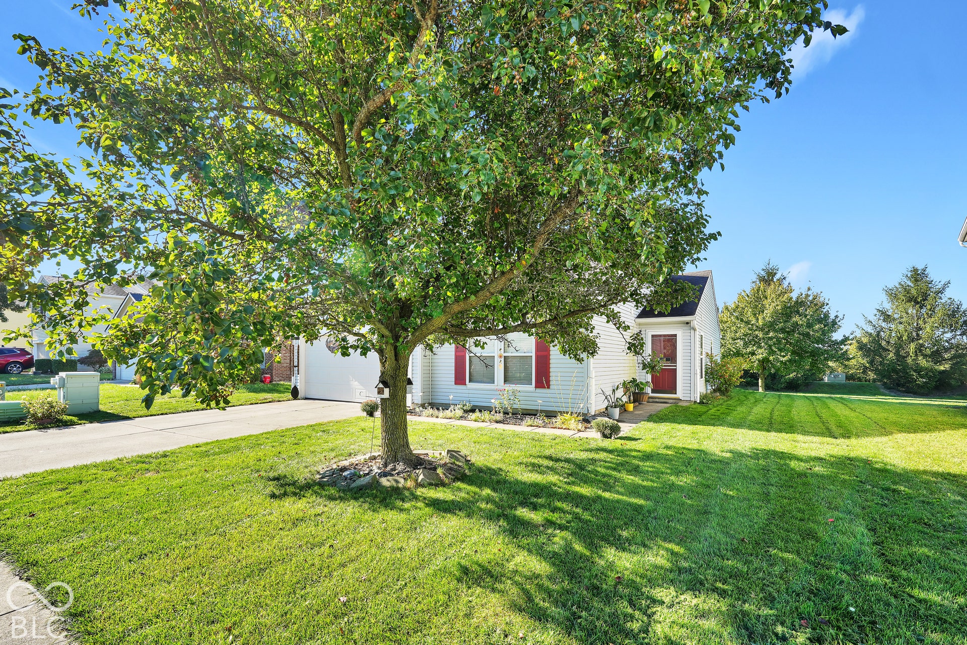 Expansive front lawn with mature shade trees