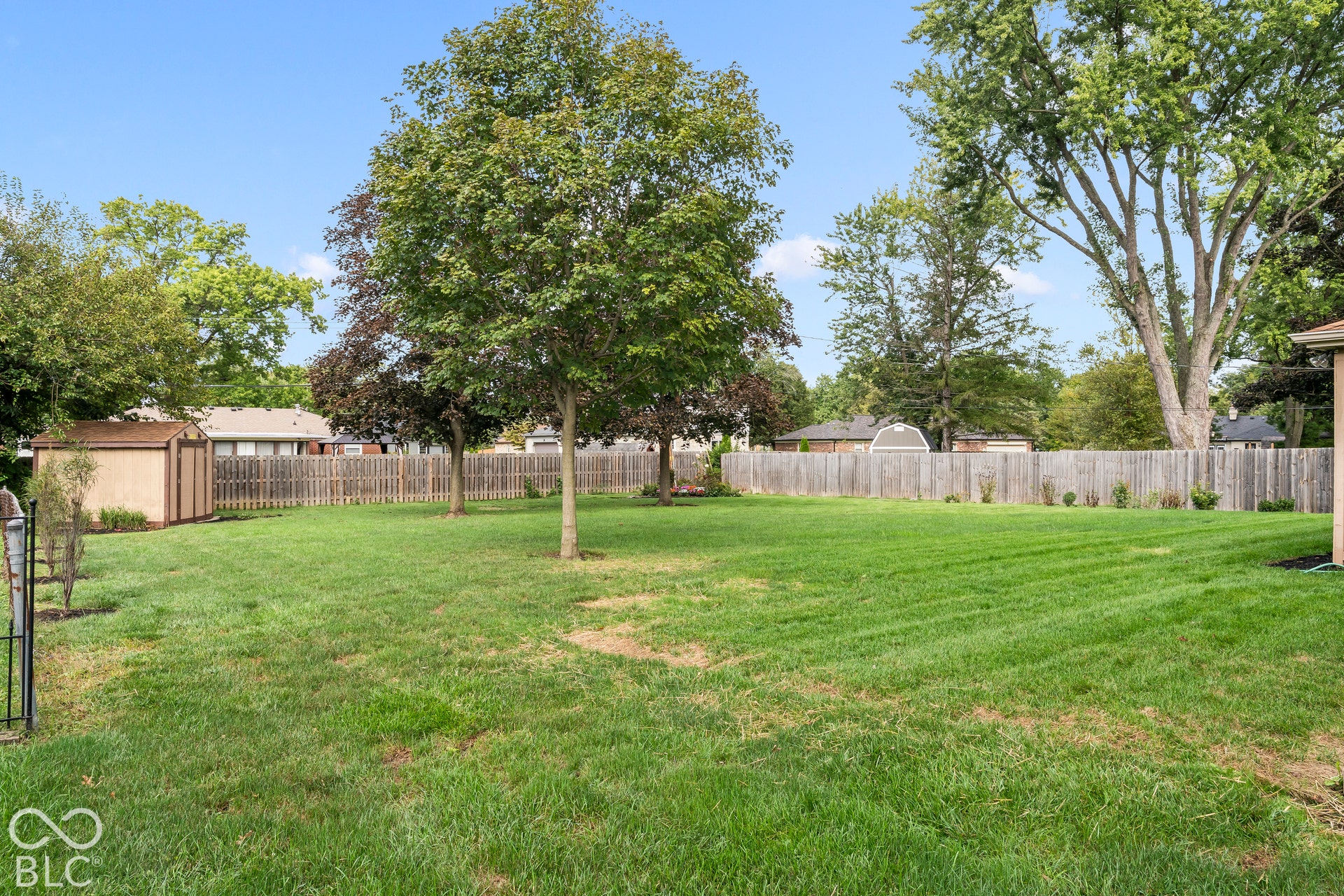 Expansive lawn with mature trees and a wood privacy fence