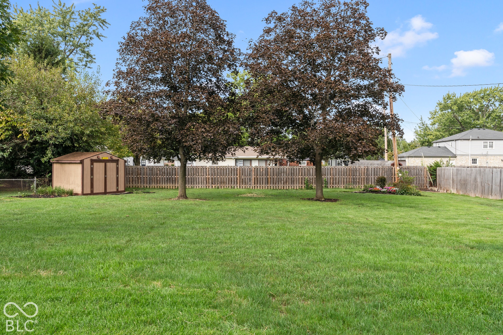 Expansive lawn with mature trees and a storage shed