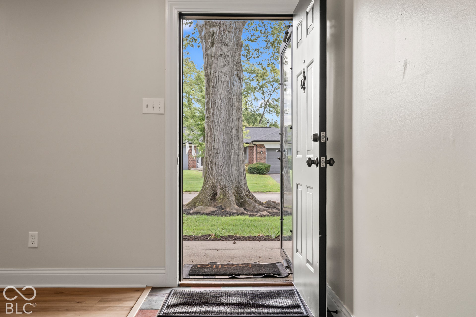 Entrance with a paneled door, offering an outward view of a mature tree and a residential street