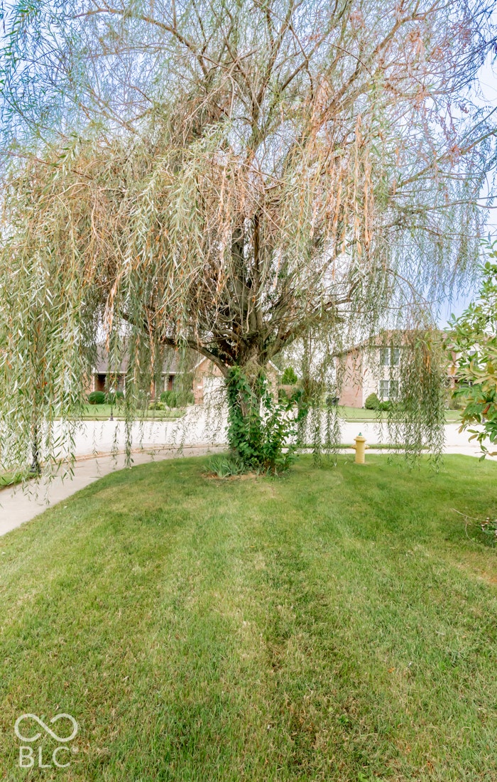 Meticulously maintained lawn with mature weeping willow tree and concrete pathway