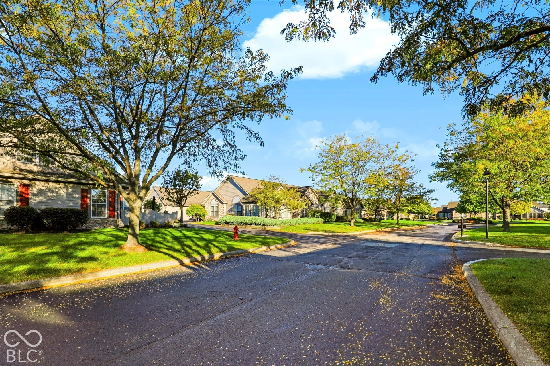 Lush green landscaping with mature trees