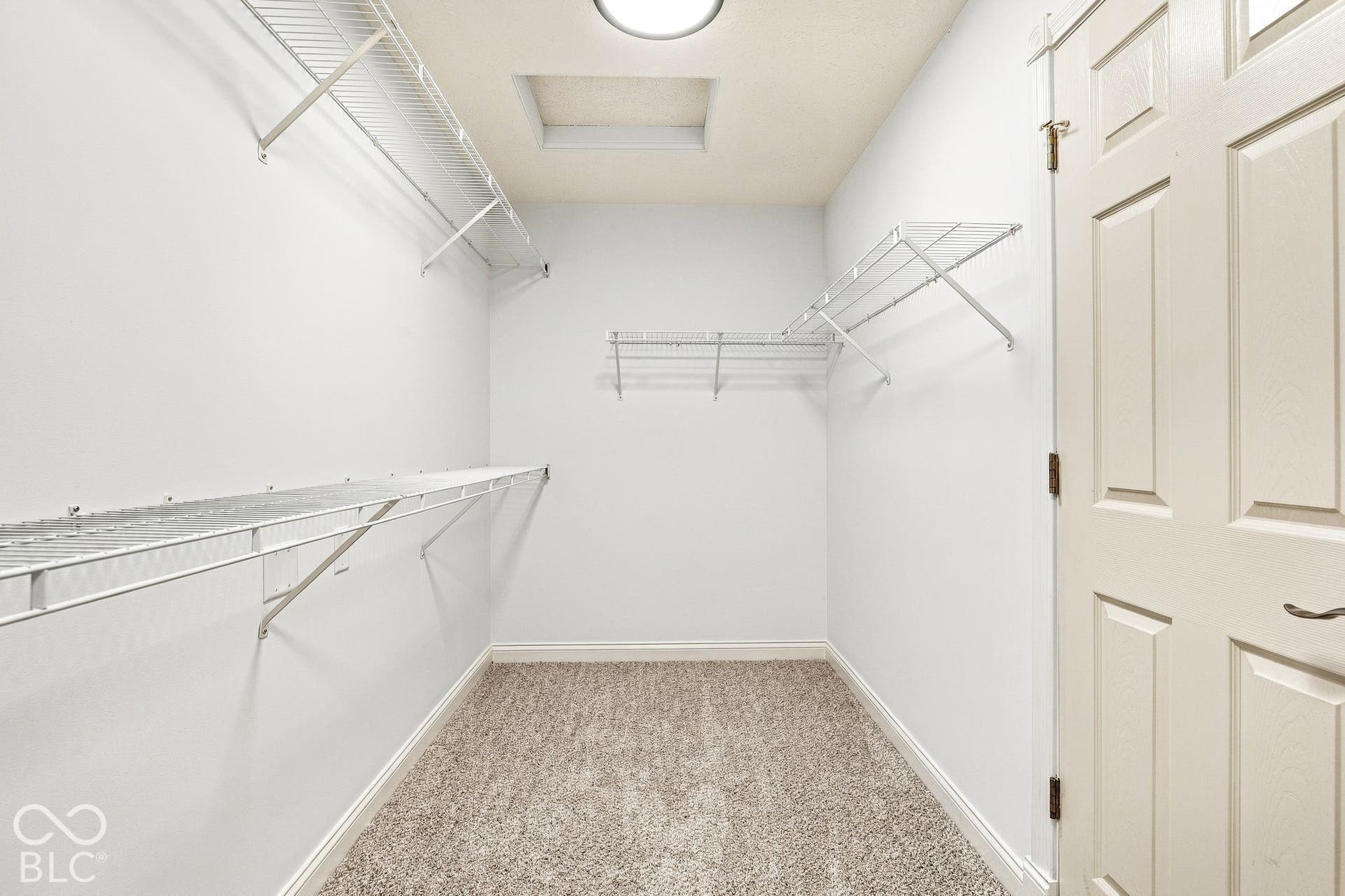 Carpeted walk-in closet featuring white walls, wire shelving, a ceiling-mounted light fixture, and a paneled interior door